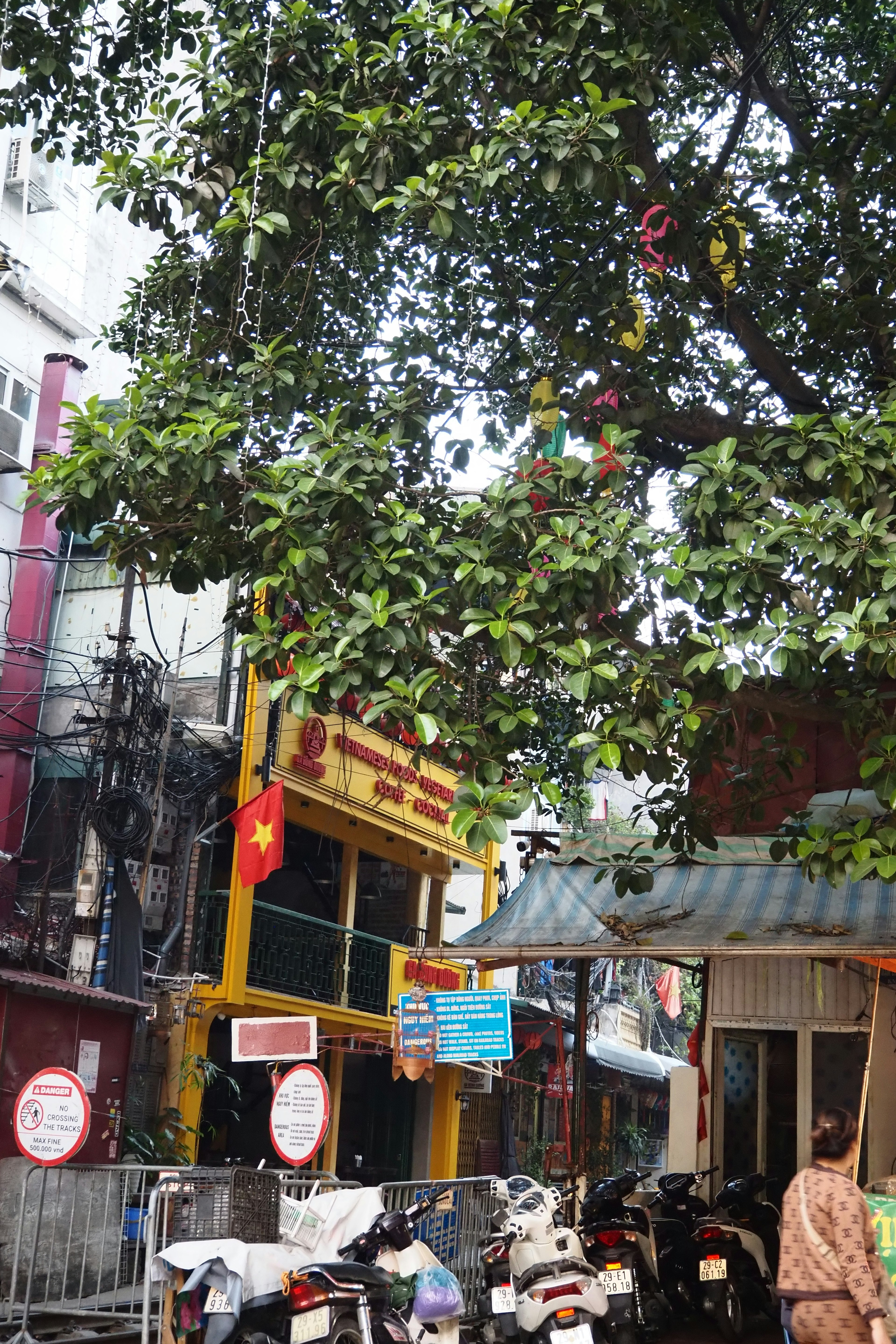 Vista di strada in Vietnam con un albero e edifici colorati