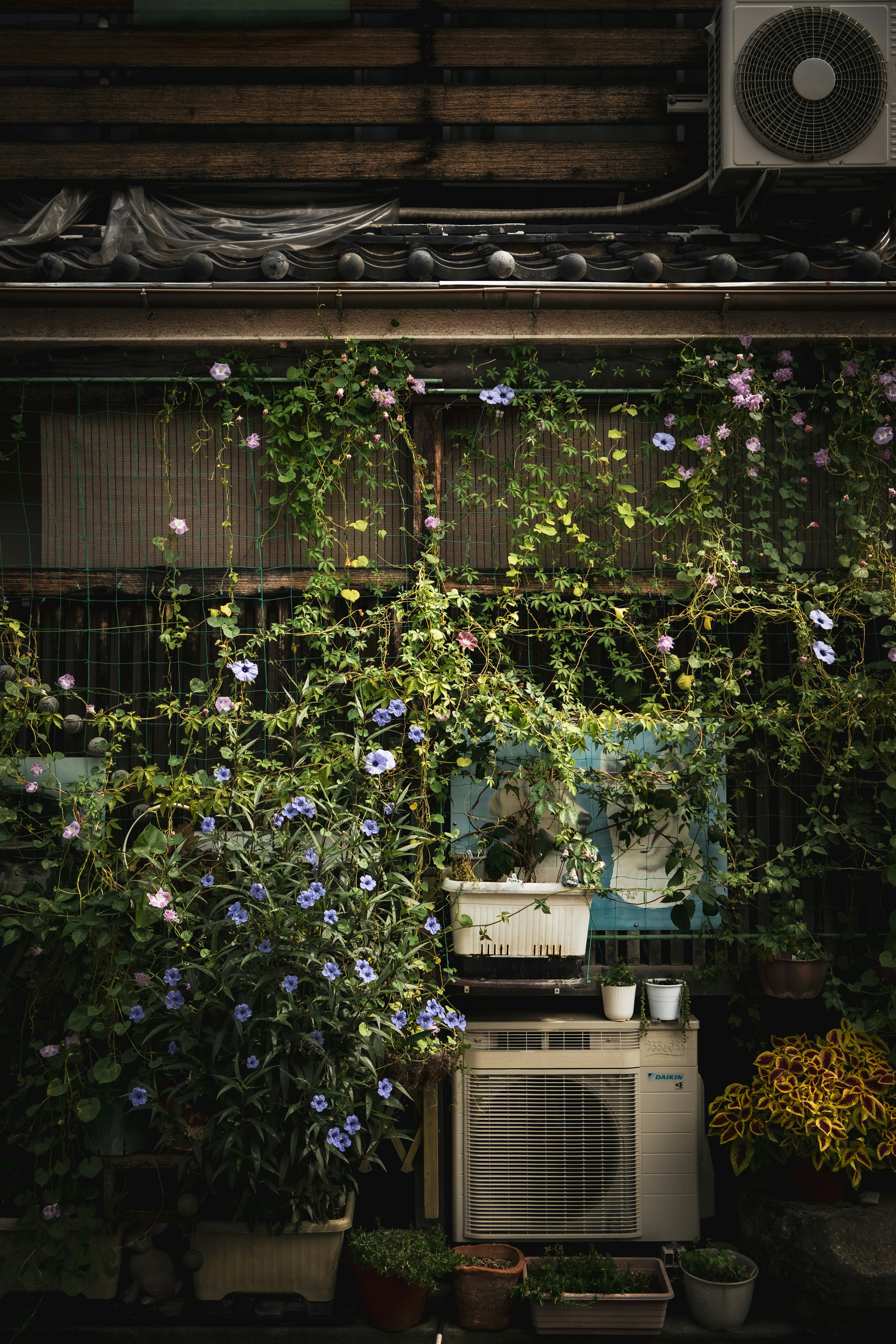 Eine Wand, die mit blühenden Blumen bedeckt ist, neben einer Klimaanlage und Blumentöpfen