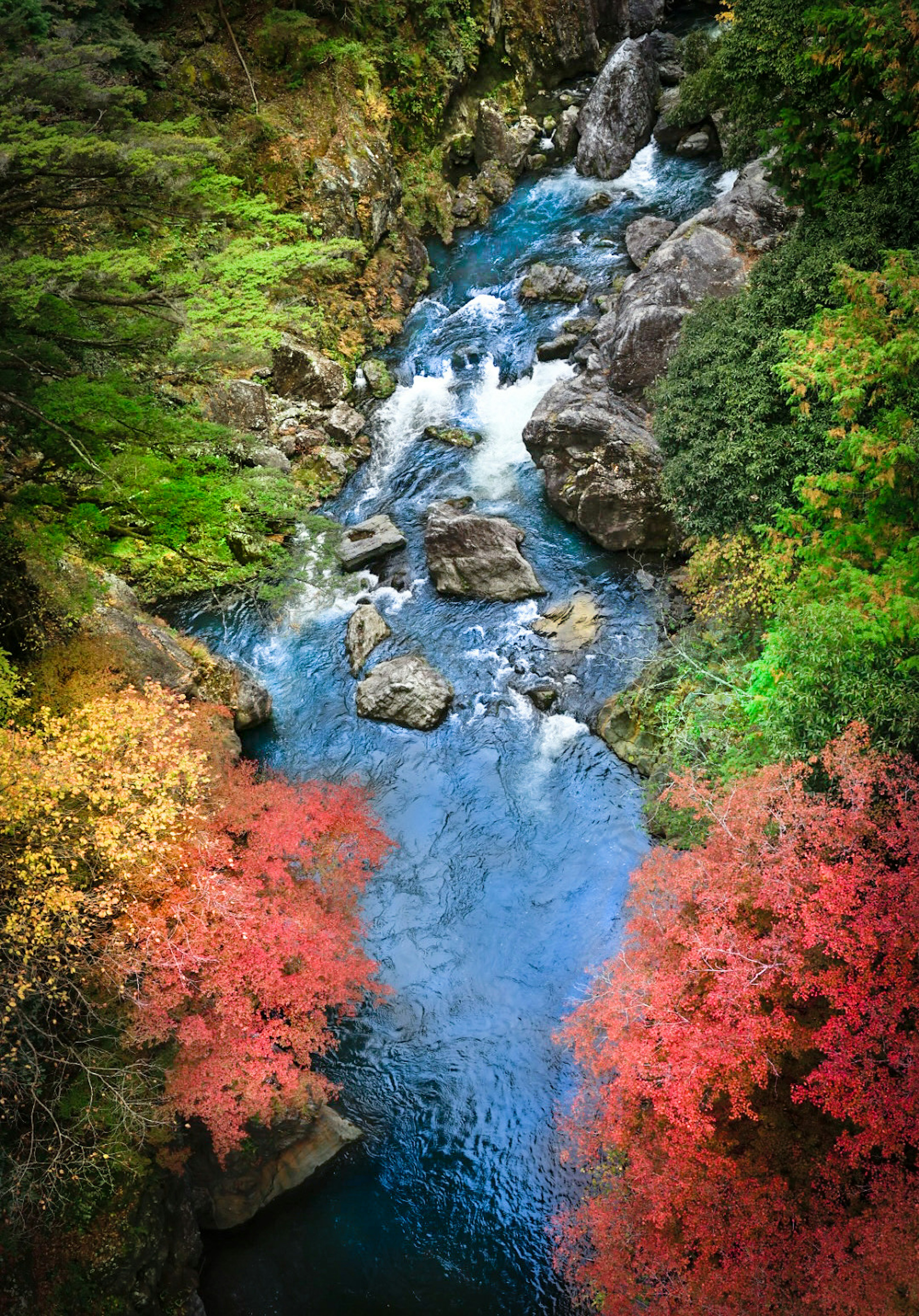 Malersiche Aussicht auf einen Fluss umgeben von lebhaftem Herbstlaub