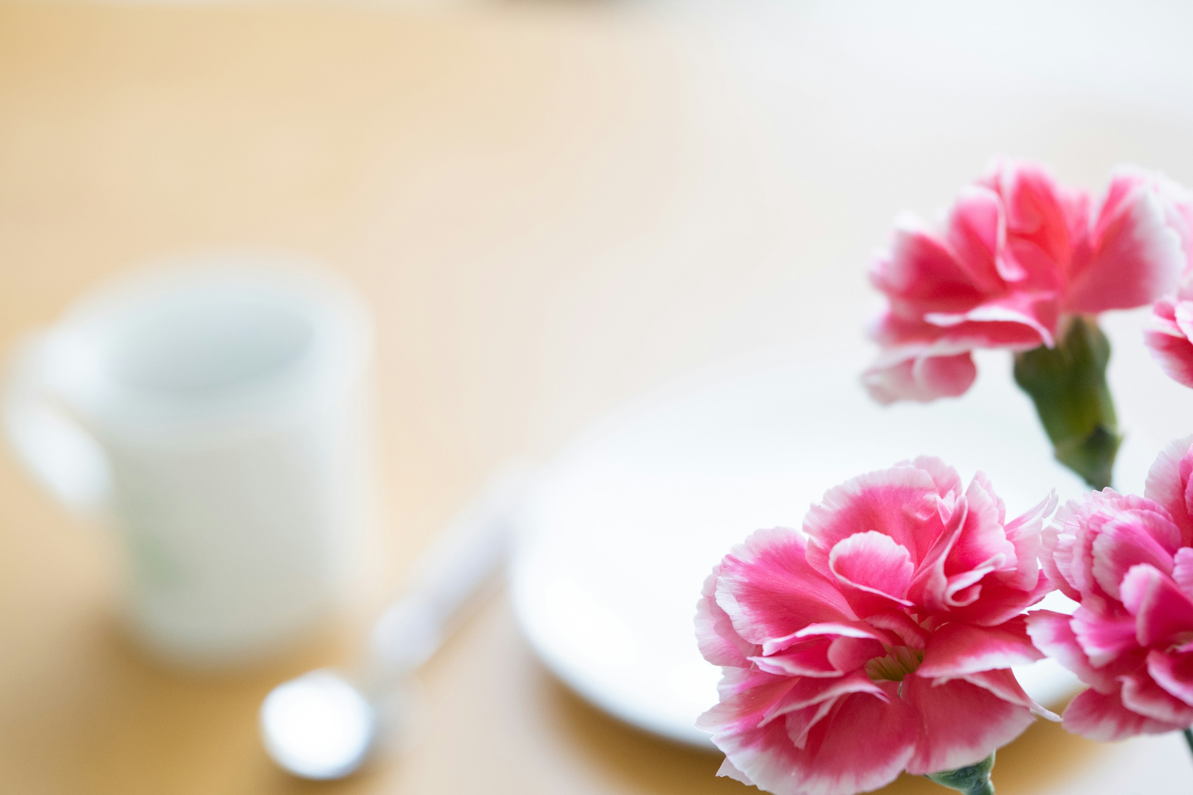 Carnations roses sur une table en bois avec une assiette et une tasse blanches