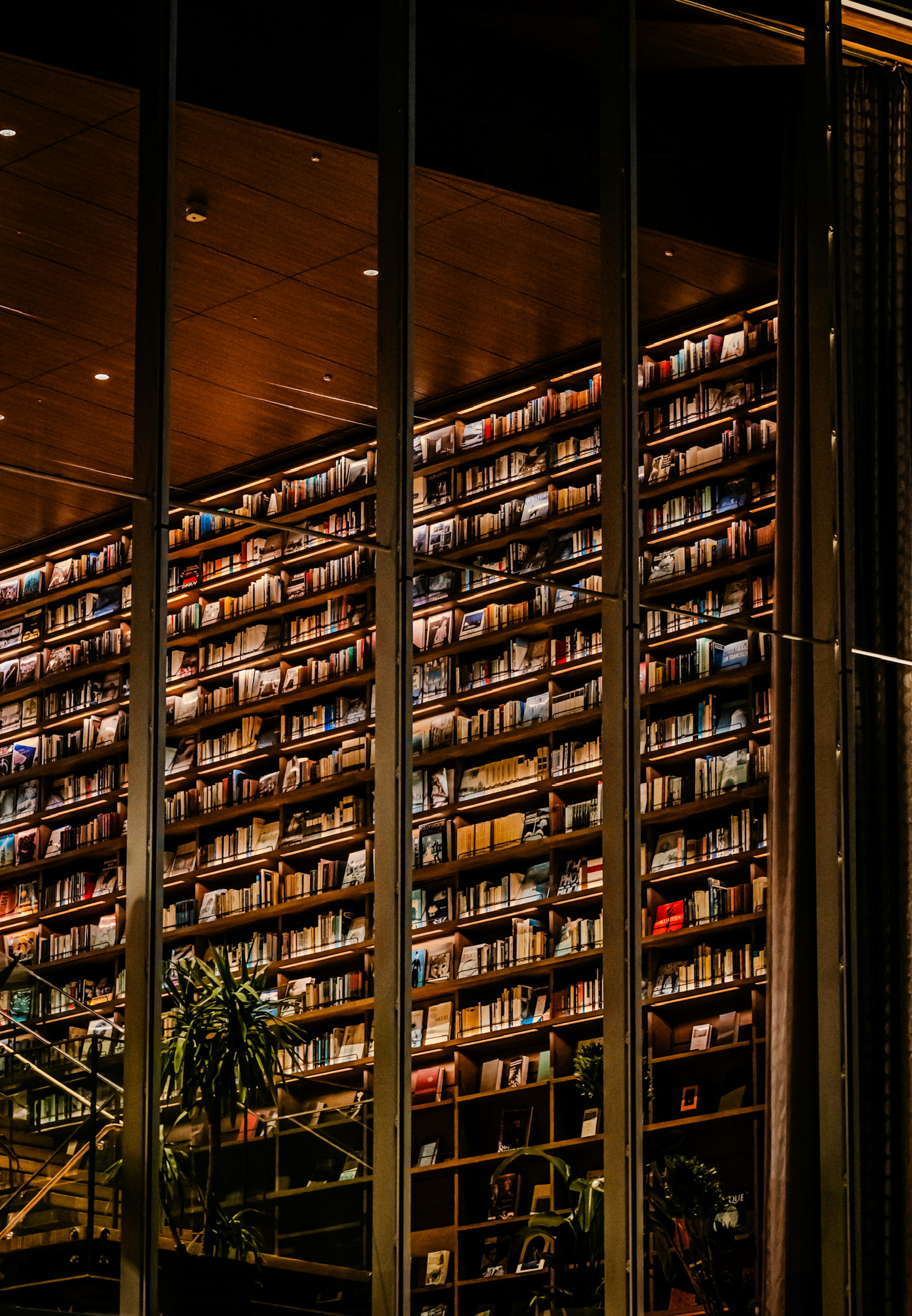 Modern library wall filled with neatly arranged books and glass reflections