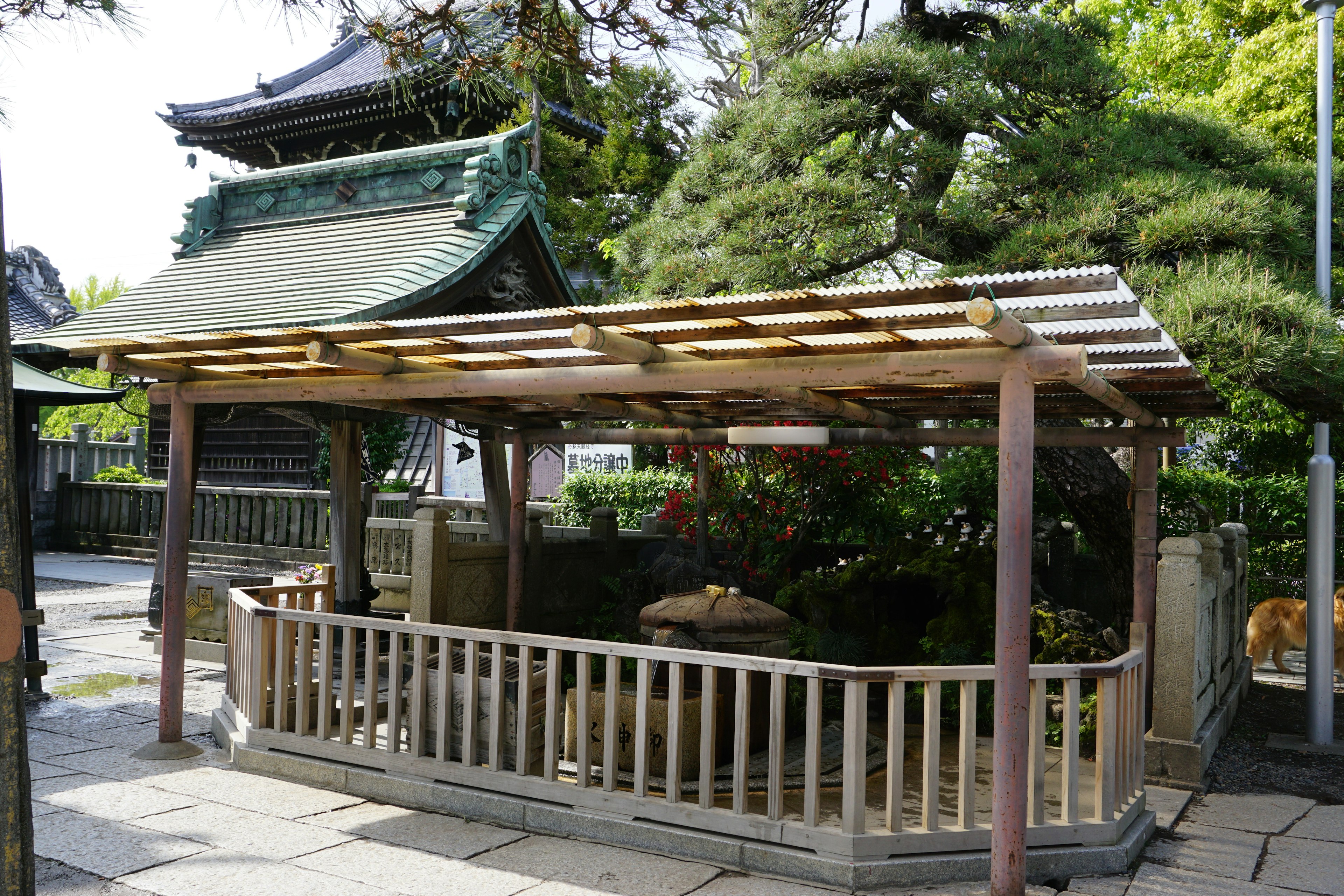 A corner of a garden enclosed by a wooden fence with a traditional Japanese building