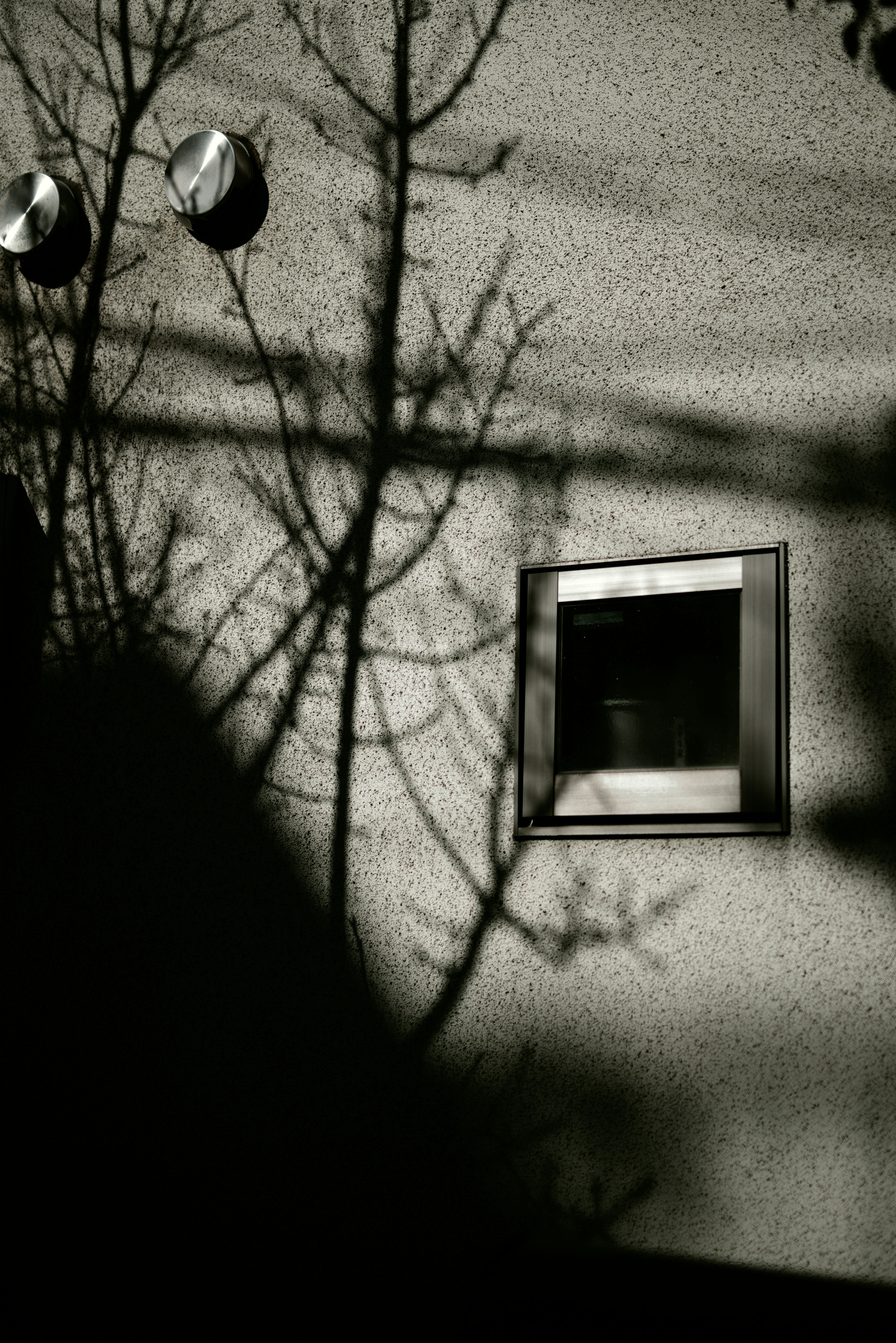 Sombra de un árbol en una pared con una ventana y decoraciones redondas