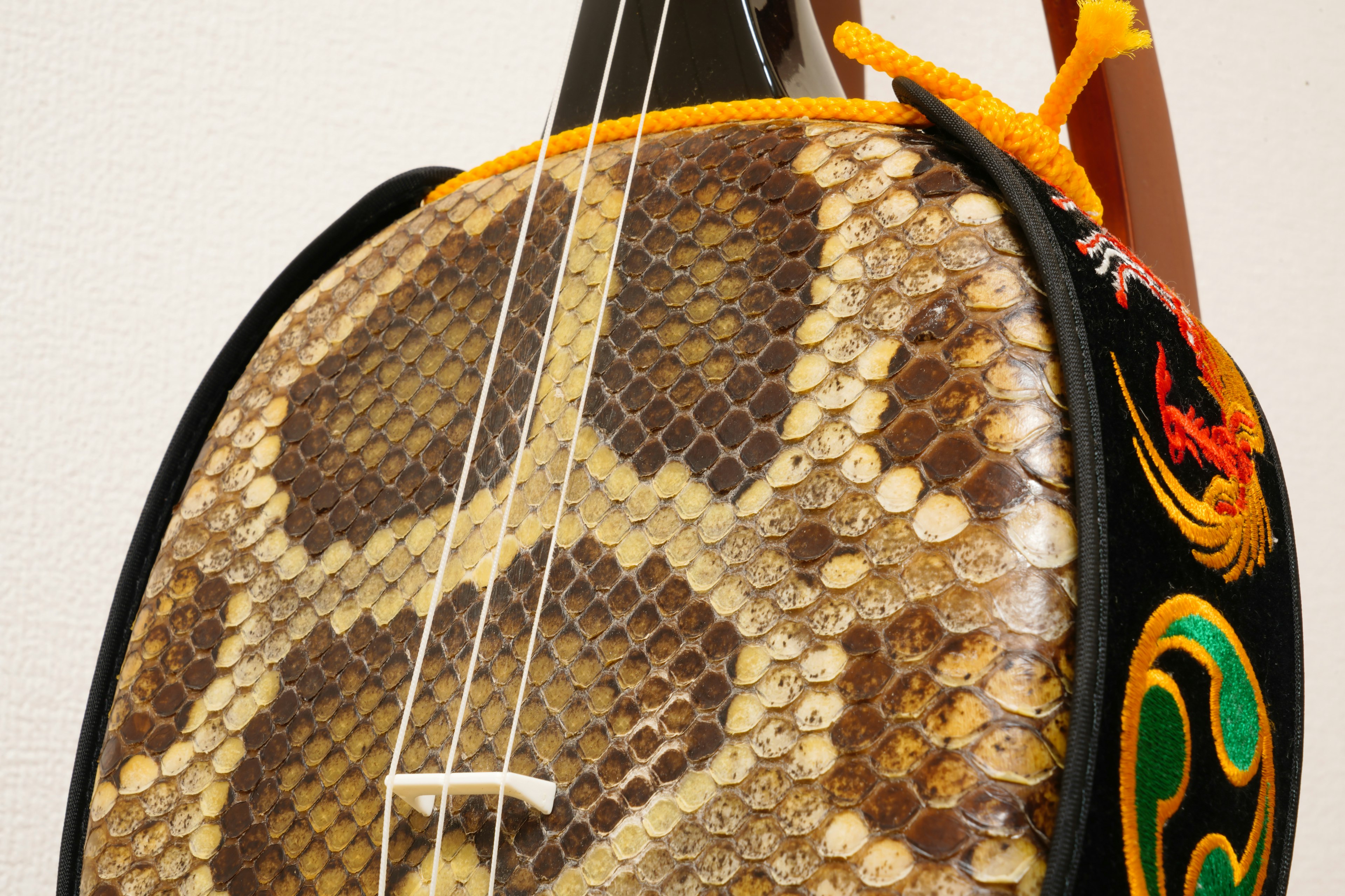 Side view of a unique instrument covered with snake skin