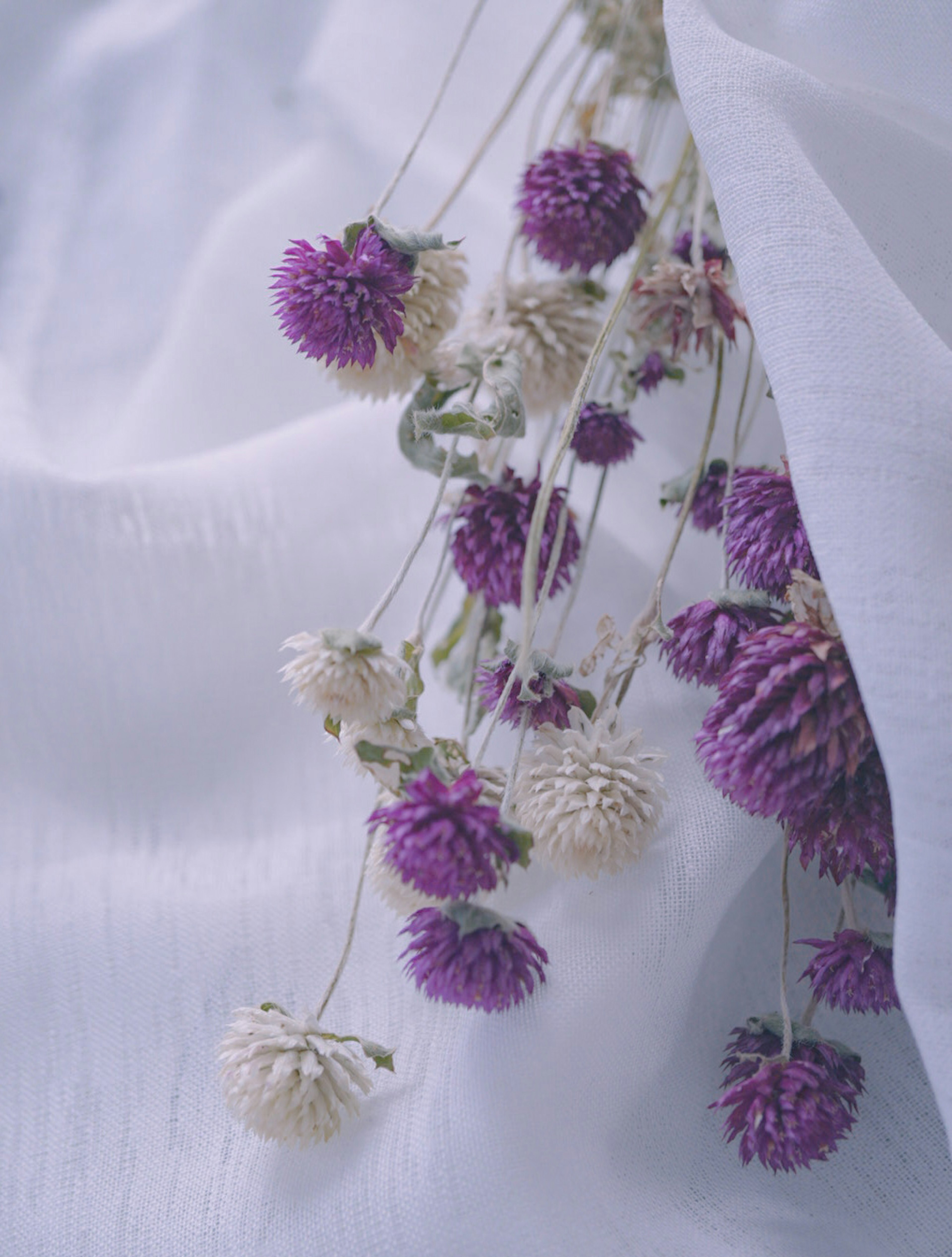 Un ramo de flores moradas y blancas sobre una tela blanca