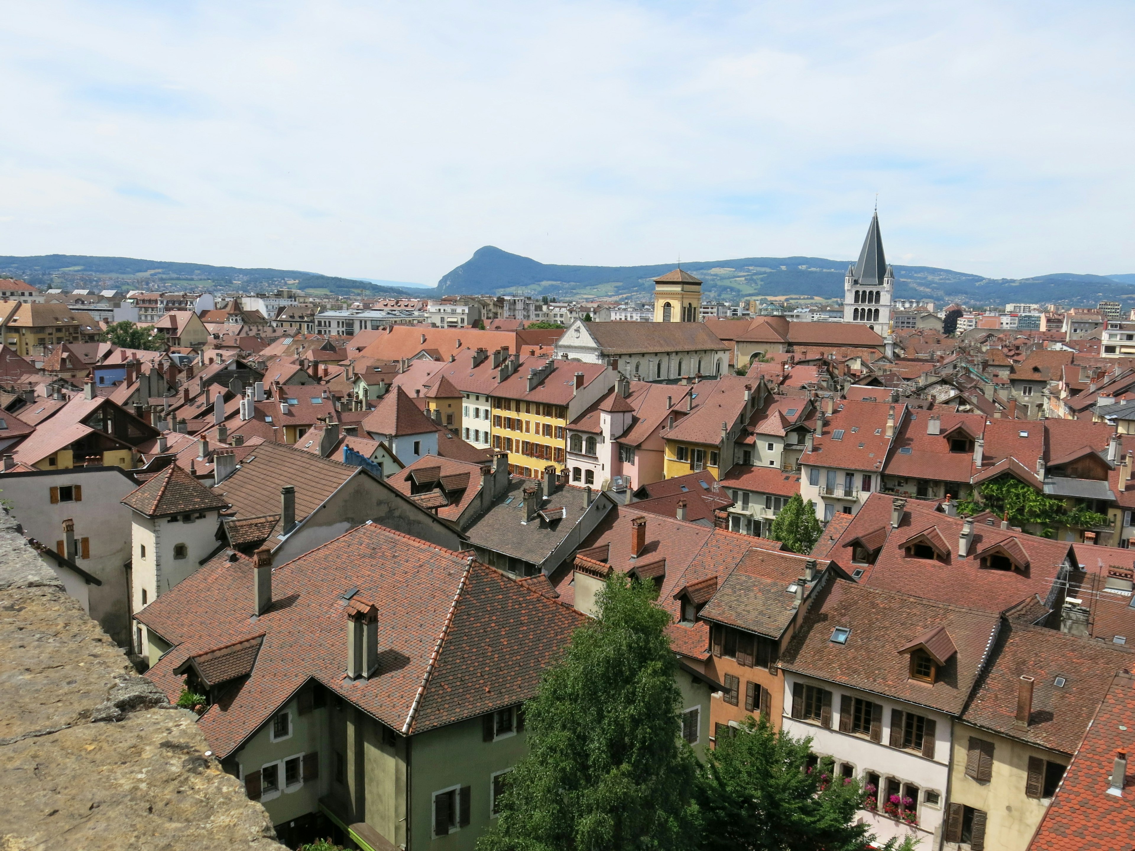 Vista panorámica de Friburgo con casas de techos rojos y montañas distantes