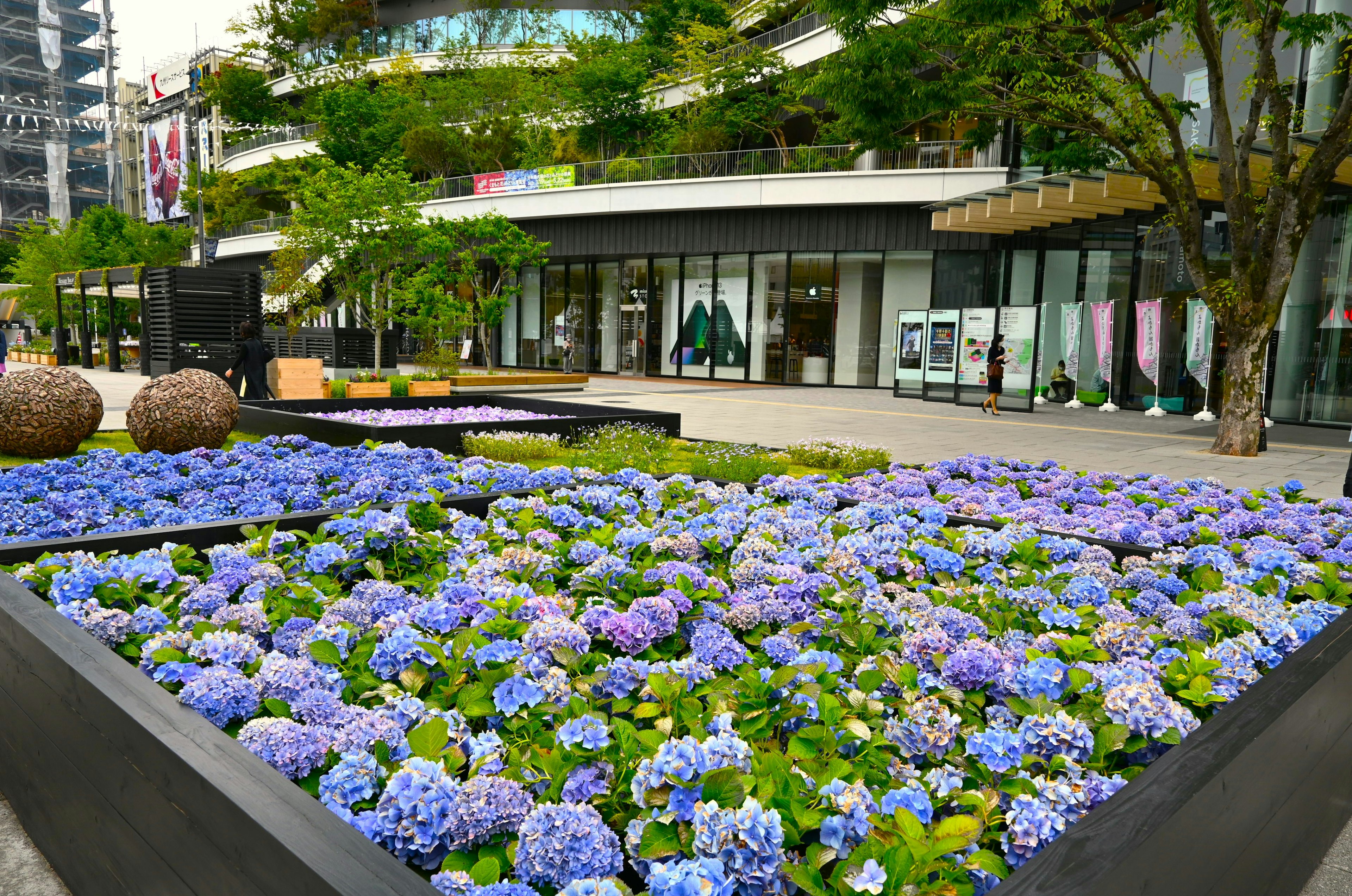 花で飾られた現代的な商業地区の風景