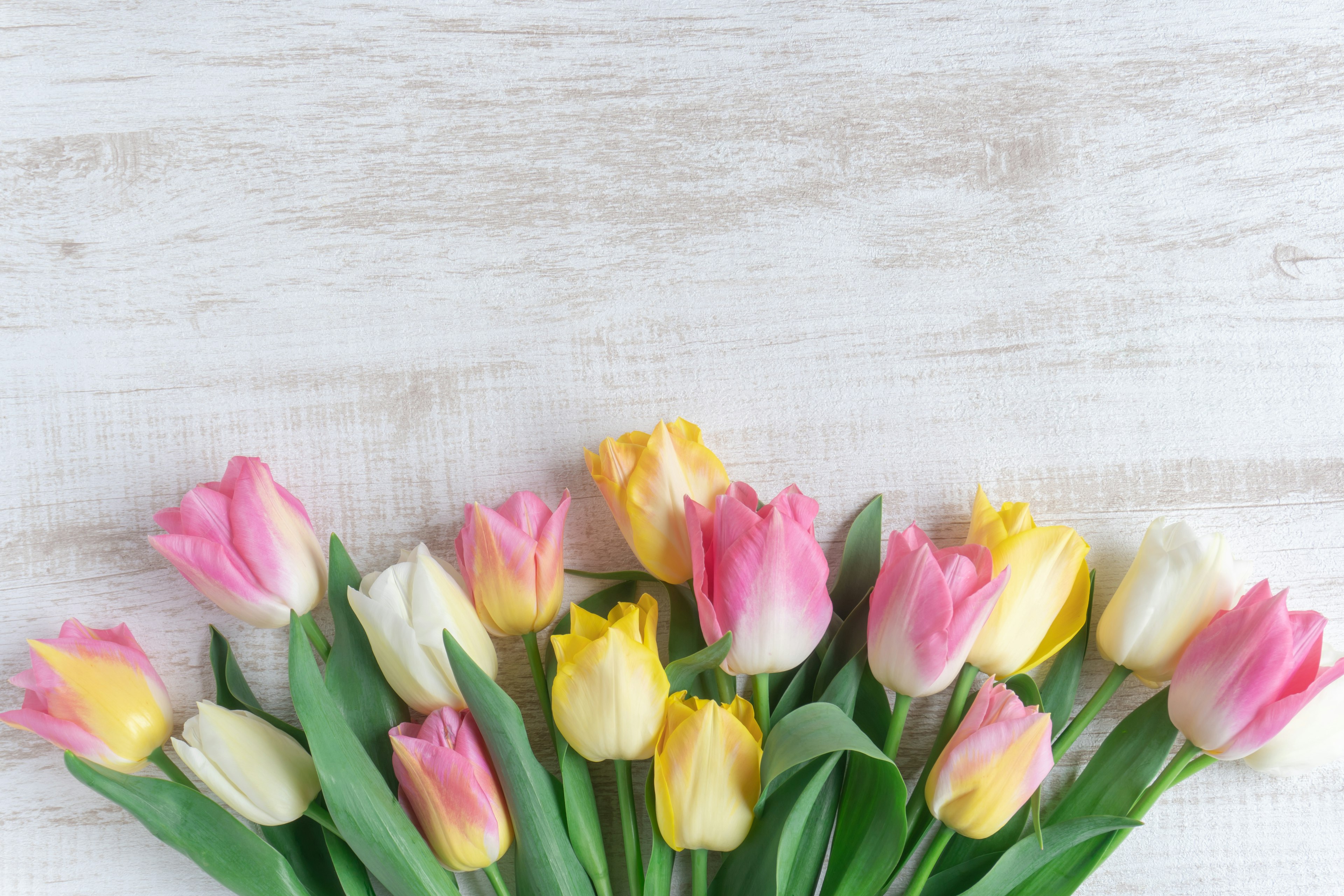 A vibrant arrangement of tulips in pink, yellow, and white on a light wooden surface