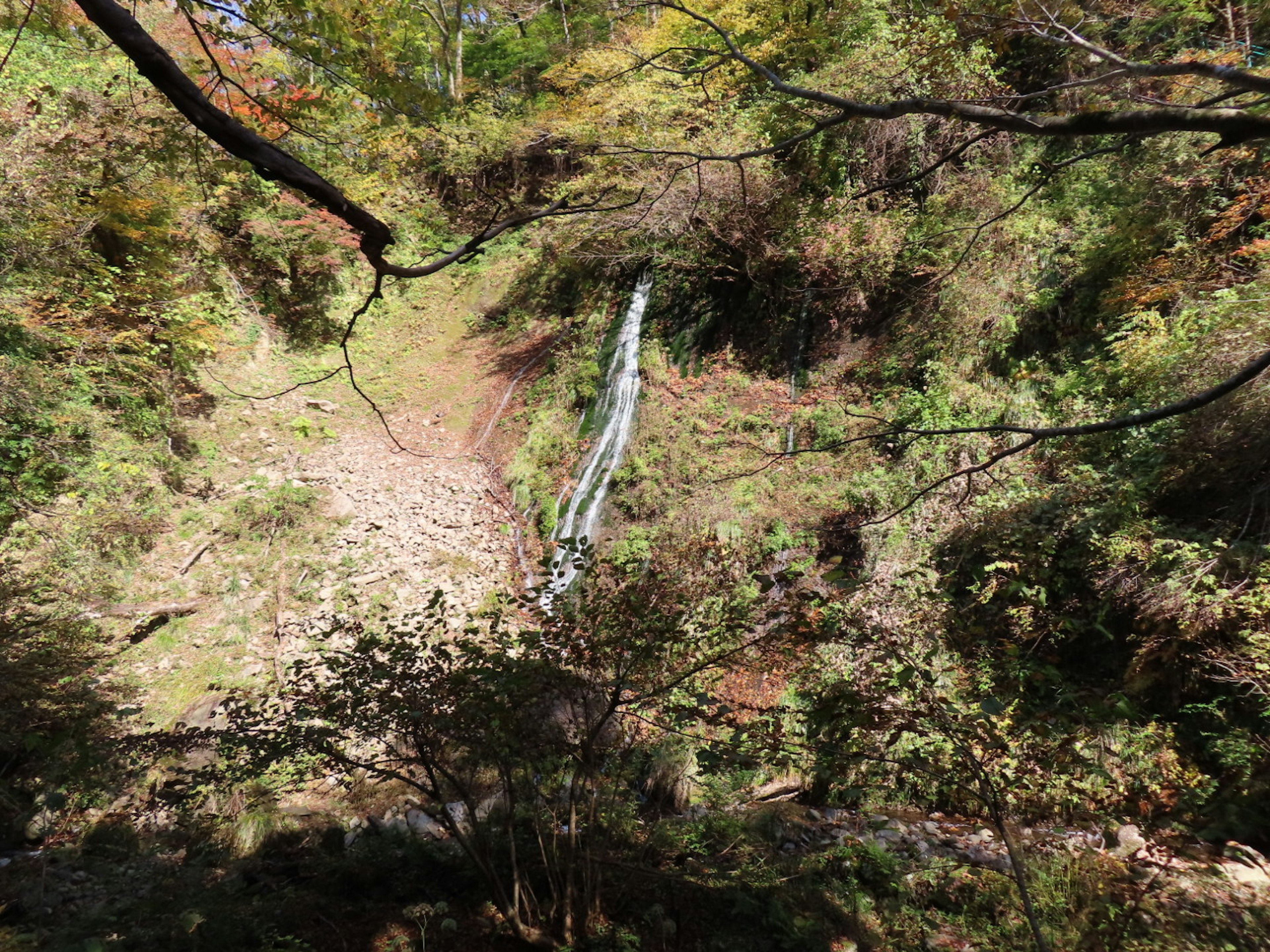 Small waterfall in an autumn forest with lush greenery