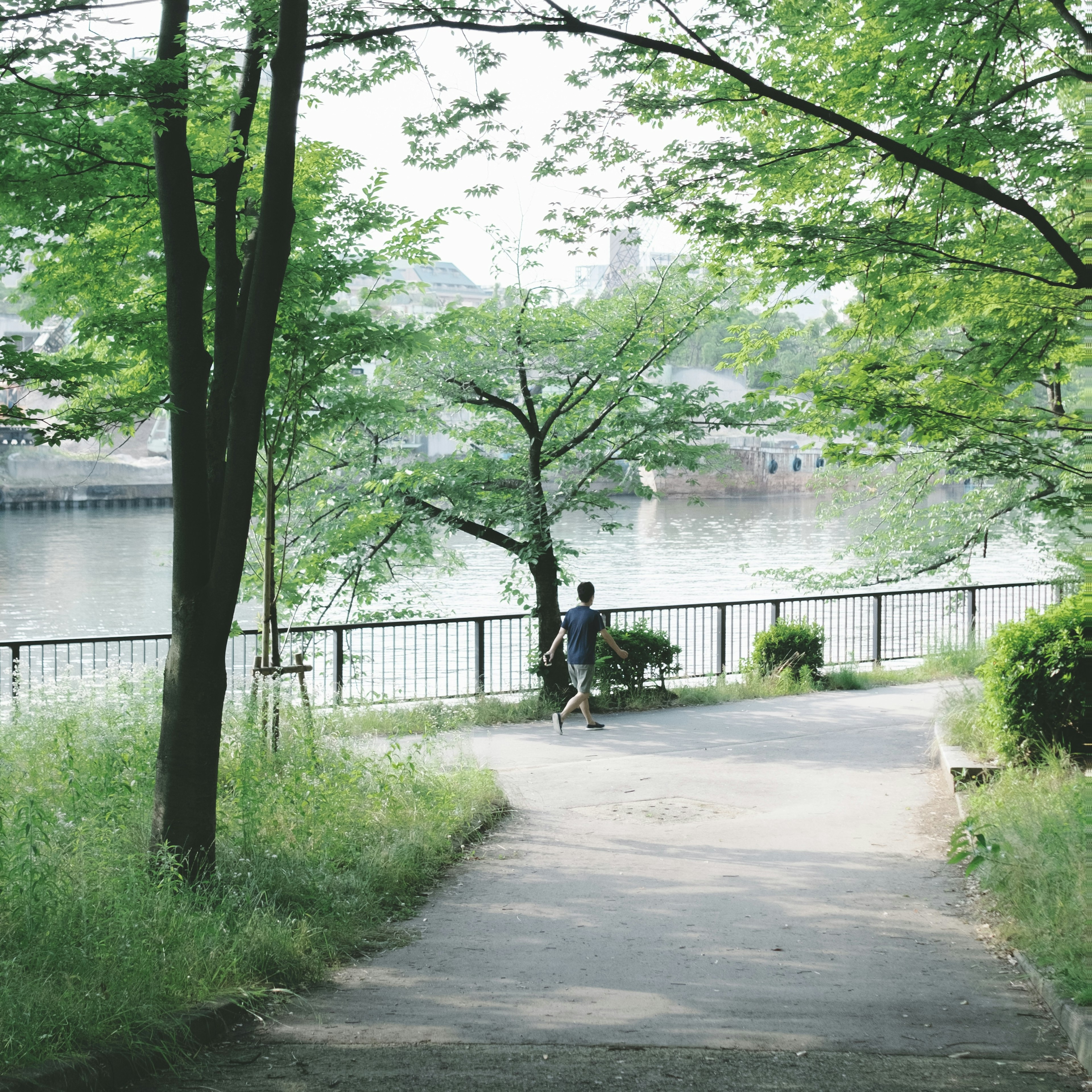 緑の木々に囲まれた小道を歩く人と川の風景