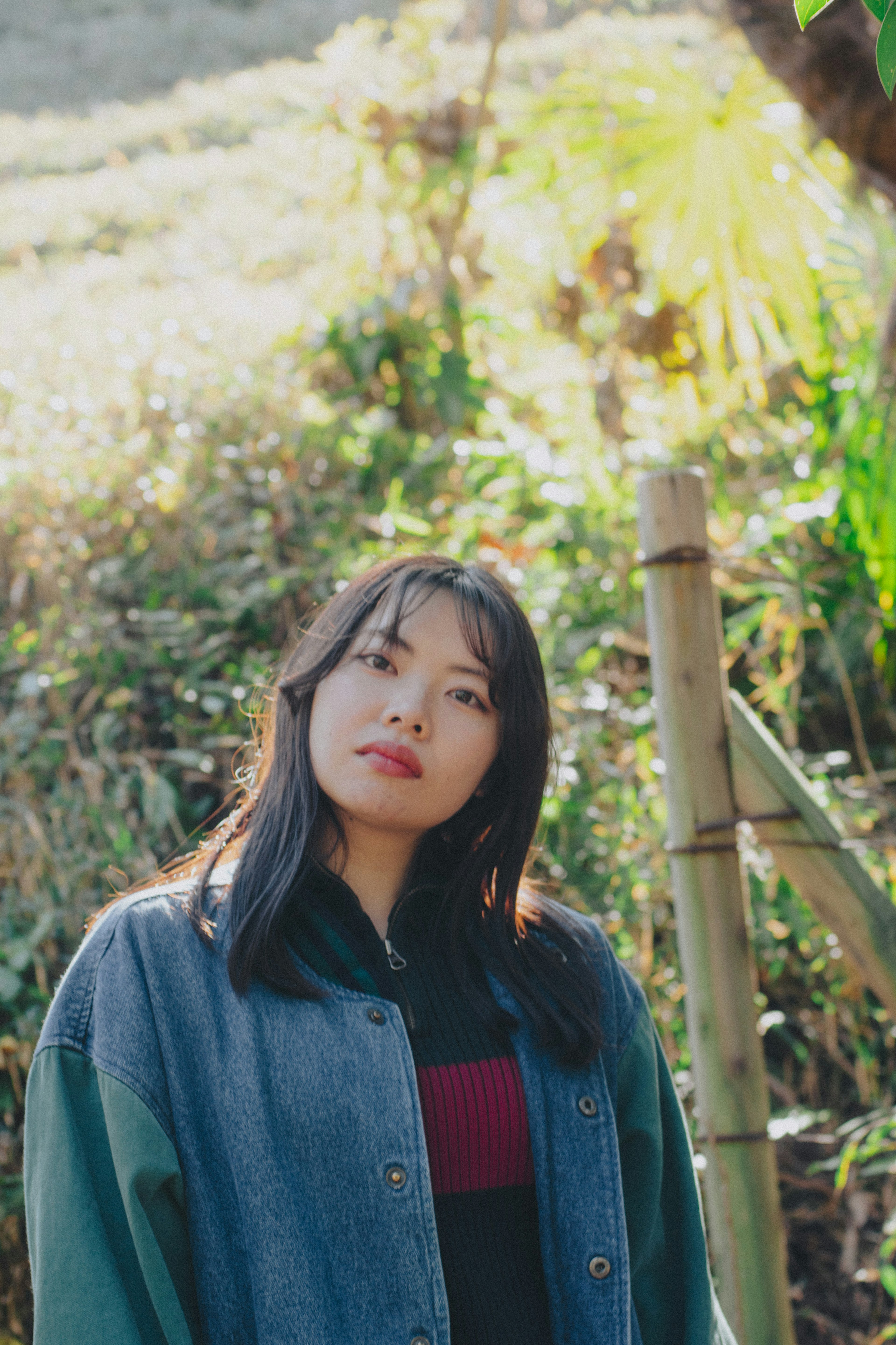 Woman posing in nature with a green background and bamboo stalks