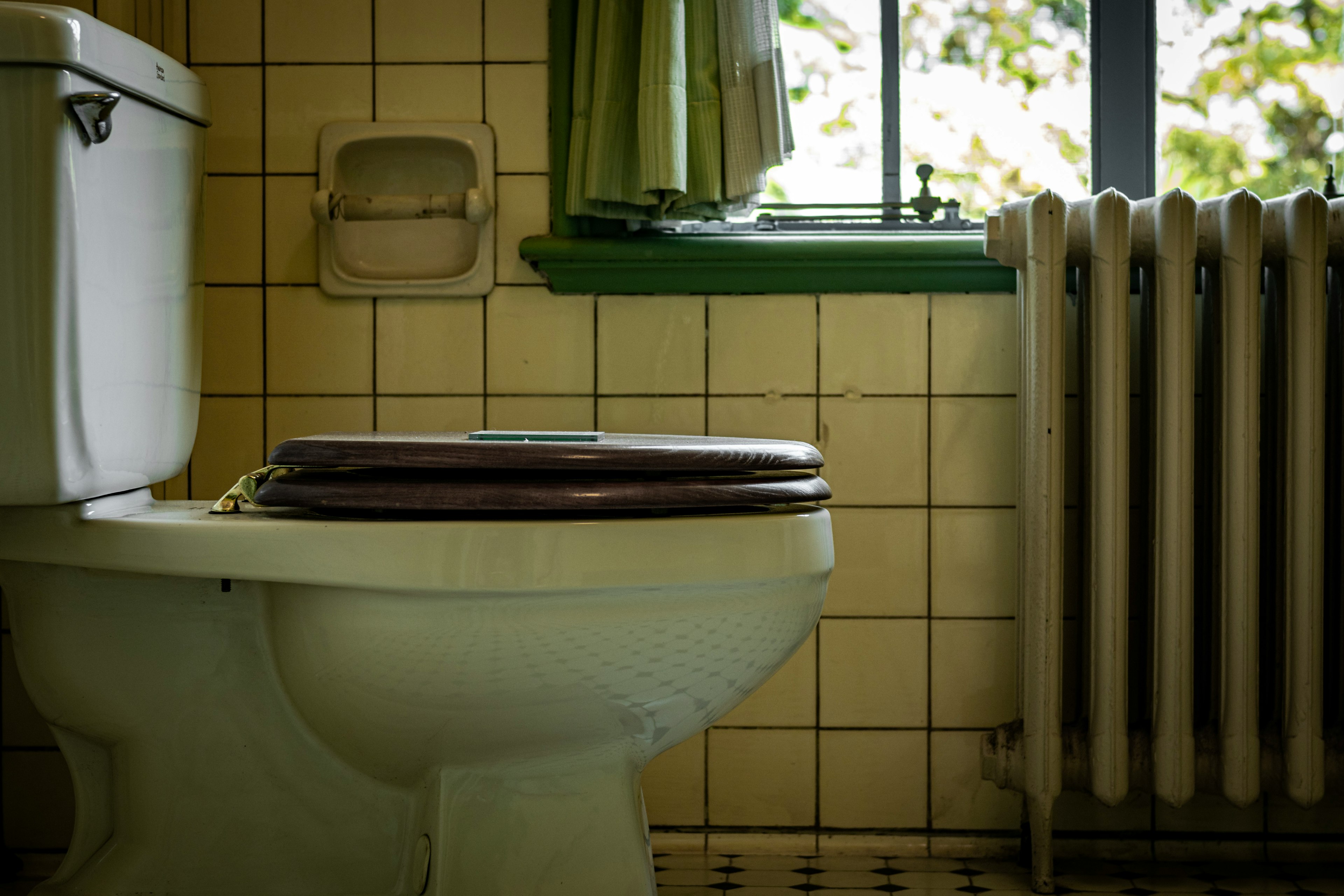 Salle de bain vintage avec des toilettes et une fenêtre à cadre vert