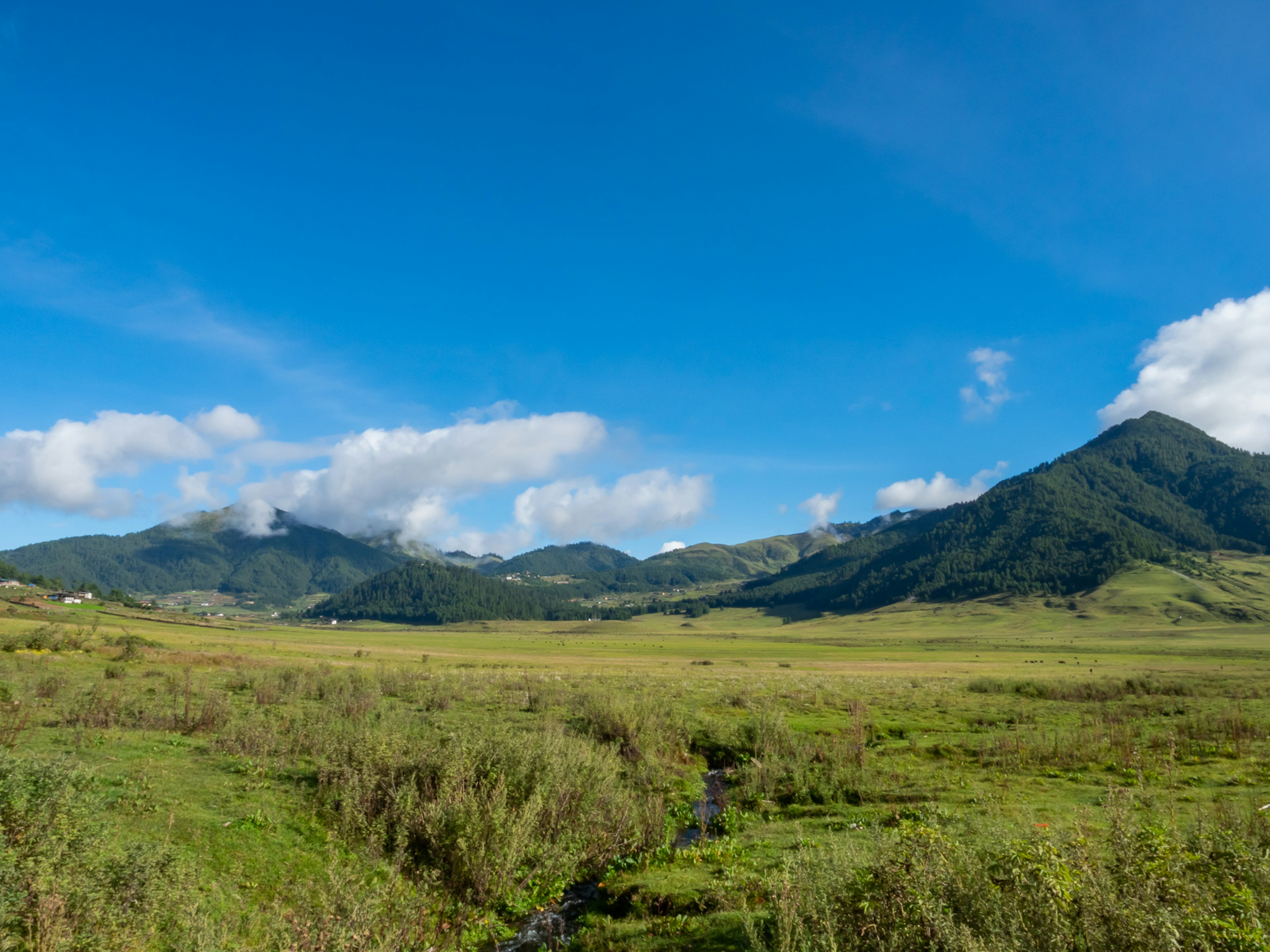 Landschaft mit blauem Himmel grünem Gras Hügeln und einem Bach