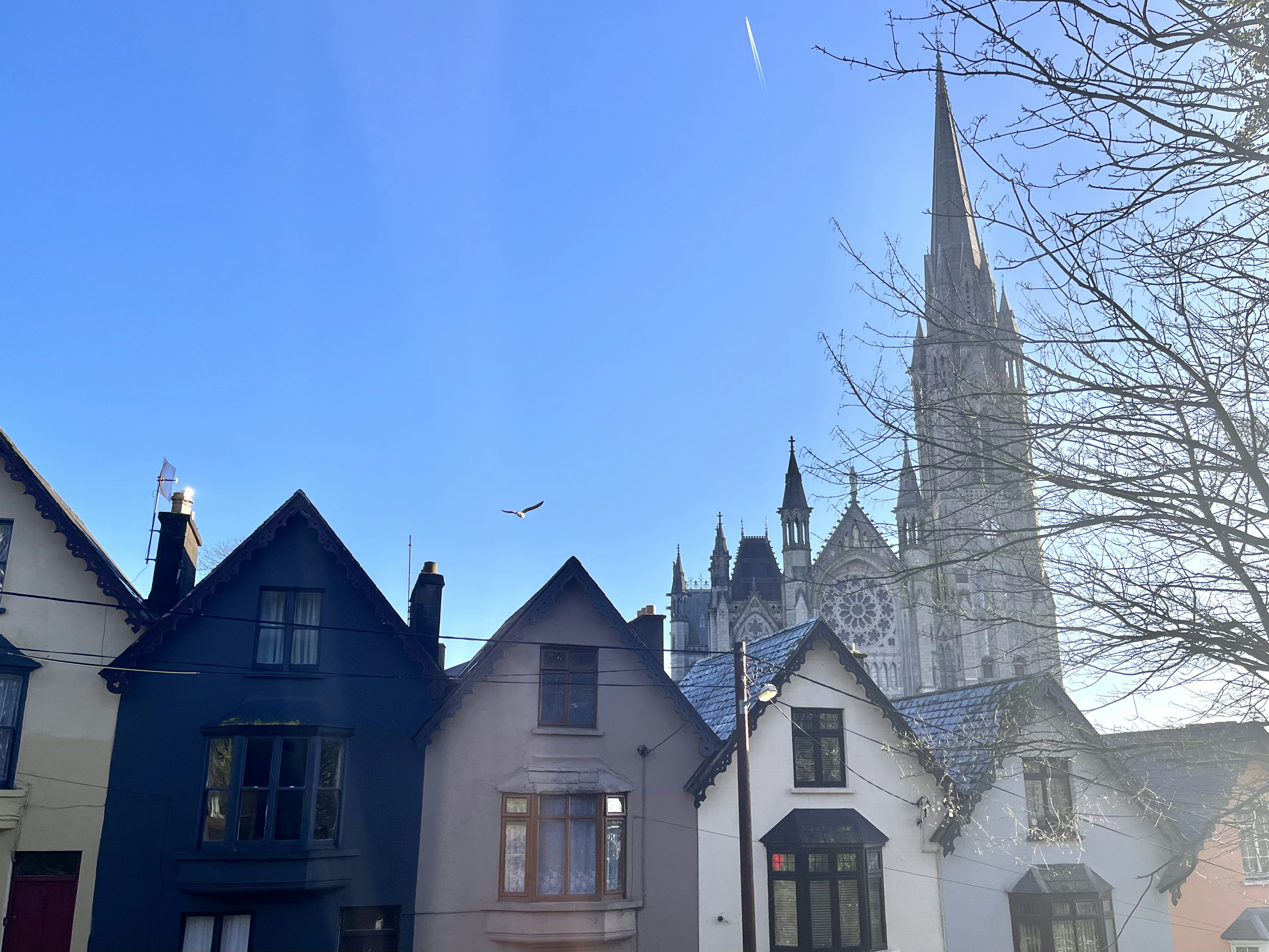 青空の下に立つ色とりどりの家々と高い尖塔の教会が見える風景