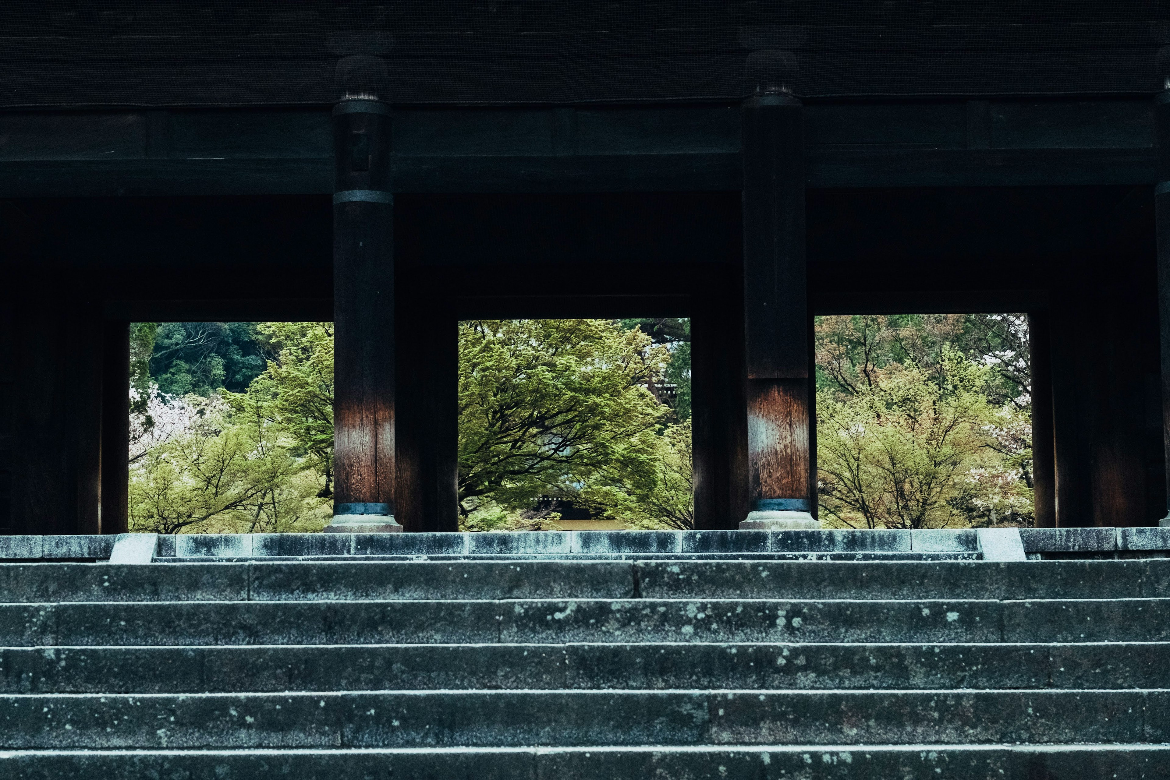 古い寺院の階段と柱が見える景色 緑の木々が背景にある