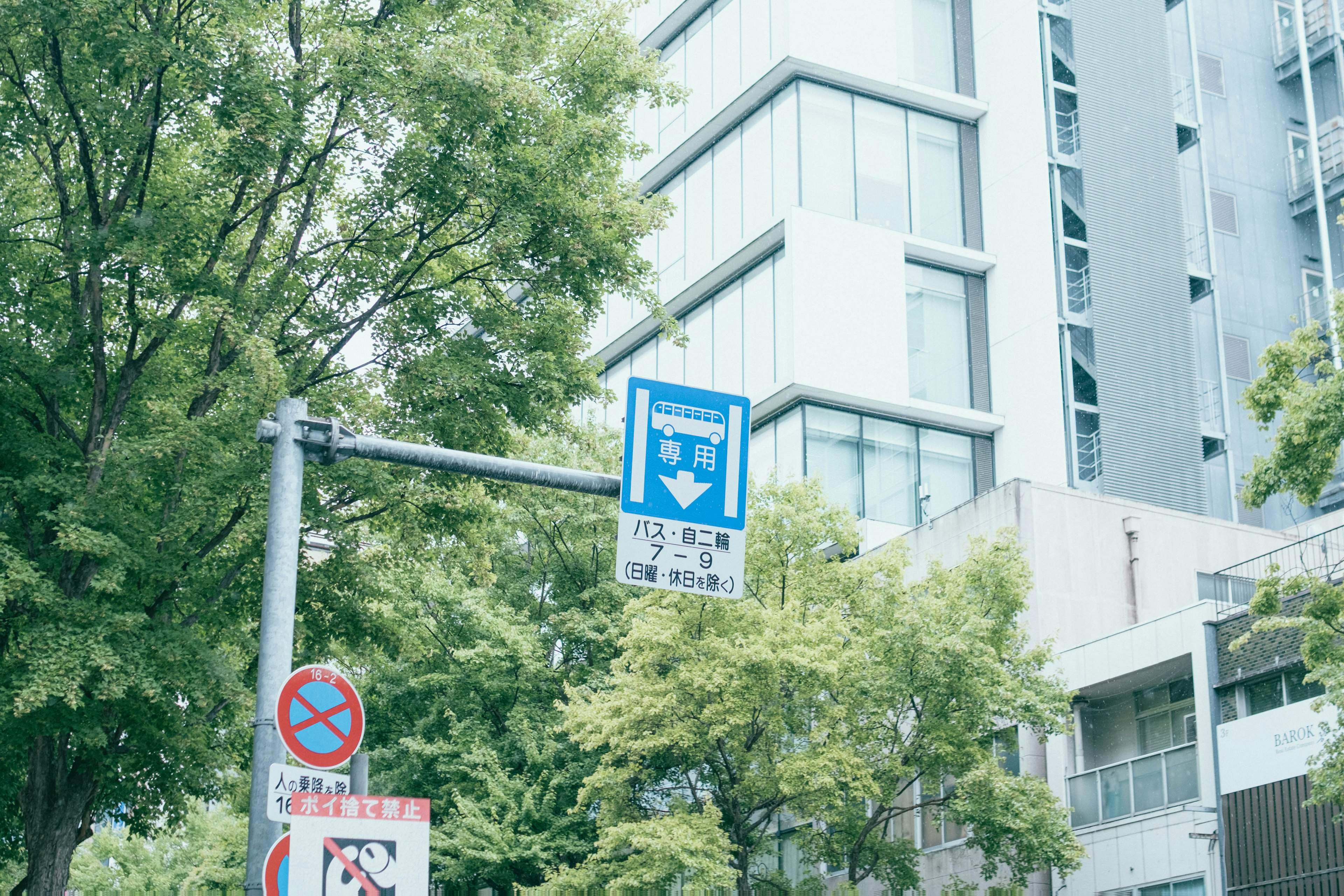 青い案内標識と緑の木々が並ぶ都市の景観