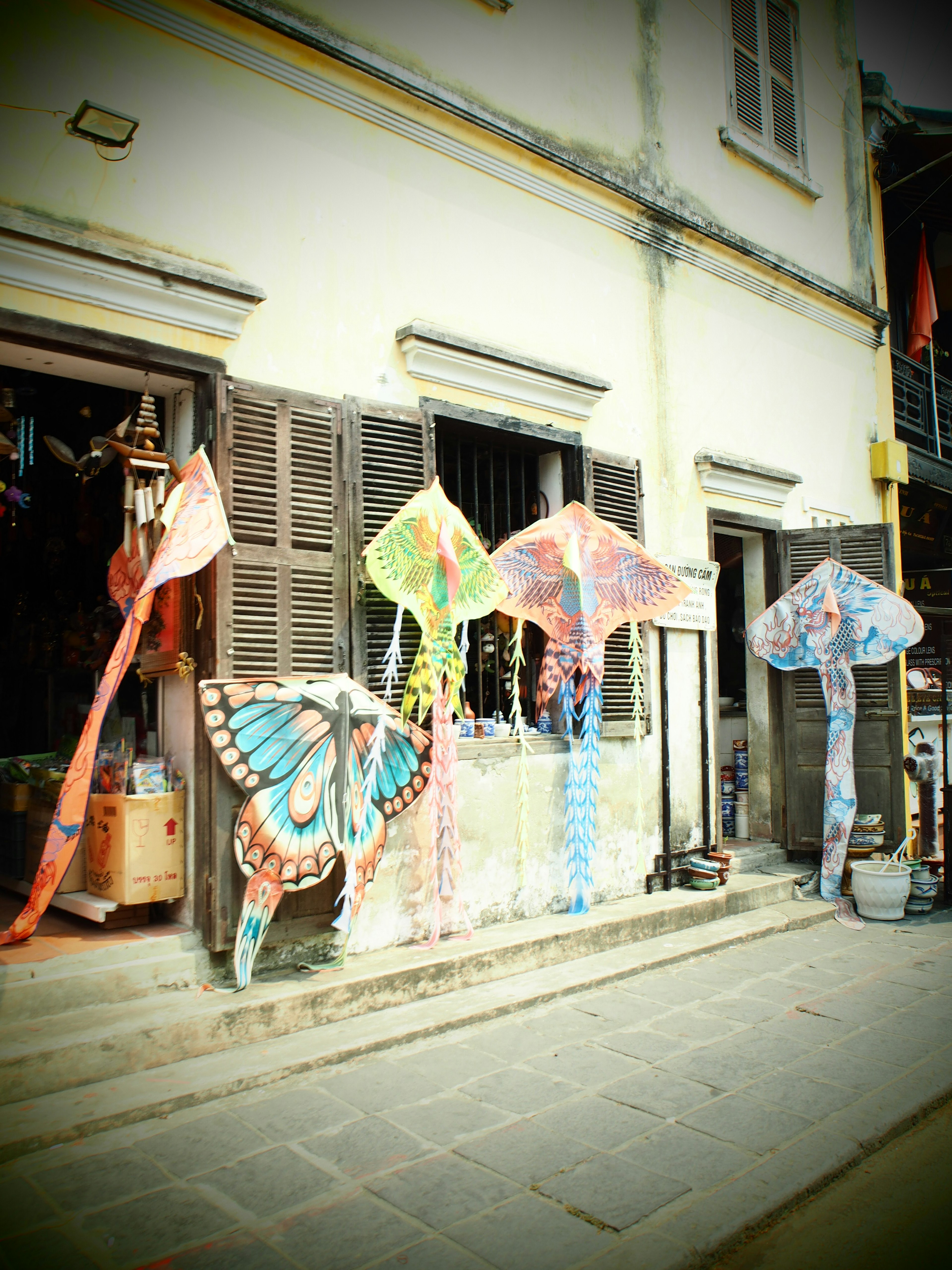 Mariposas coloridas y paraguas exhibidos frente a una tienda