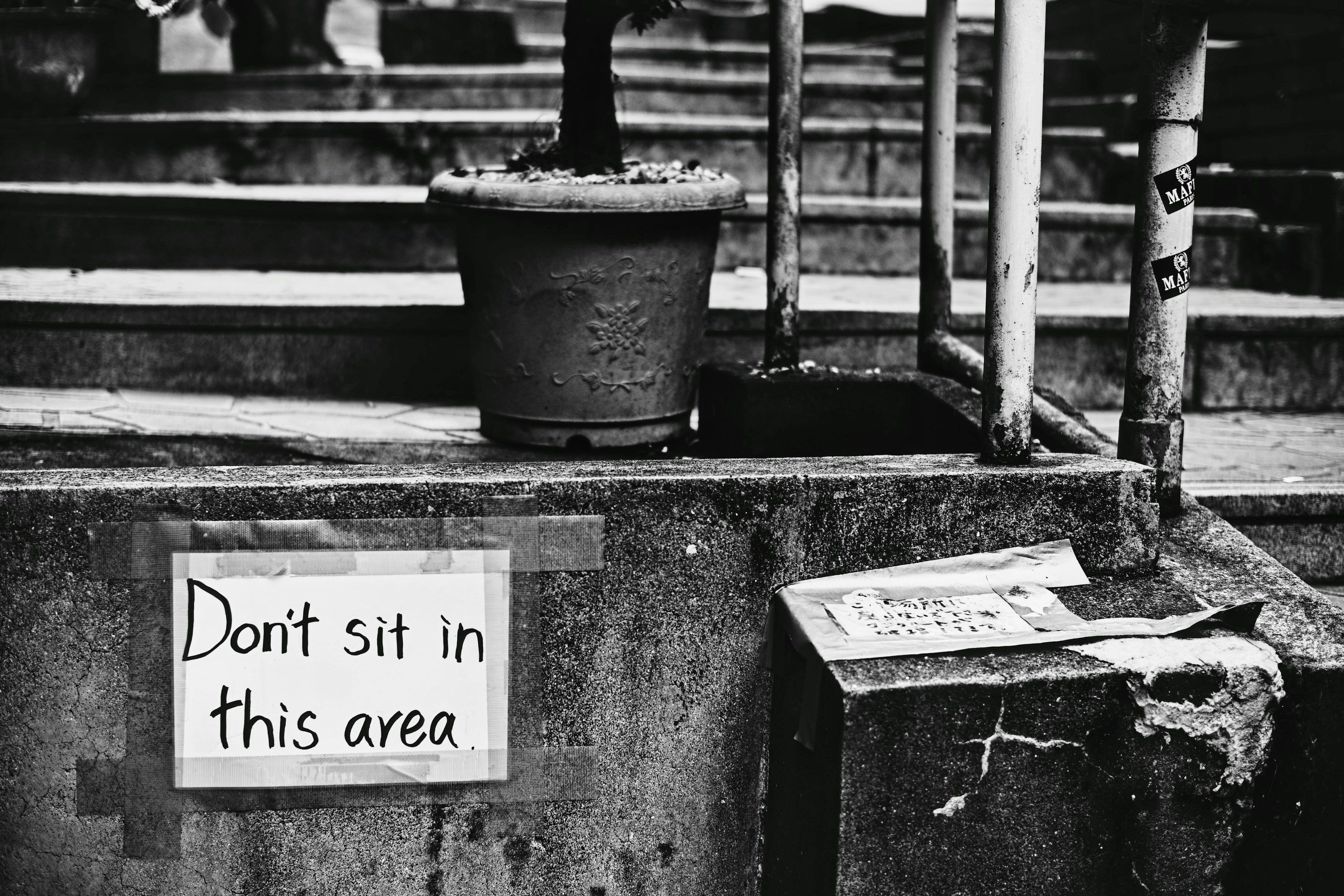 Schild mit der Aufschrift Nicht in diesem Bereich sitzen neben einem Blumentopf auf Treppen