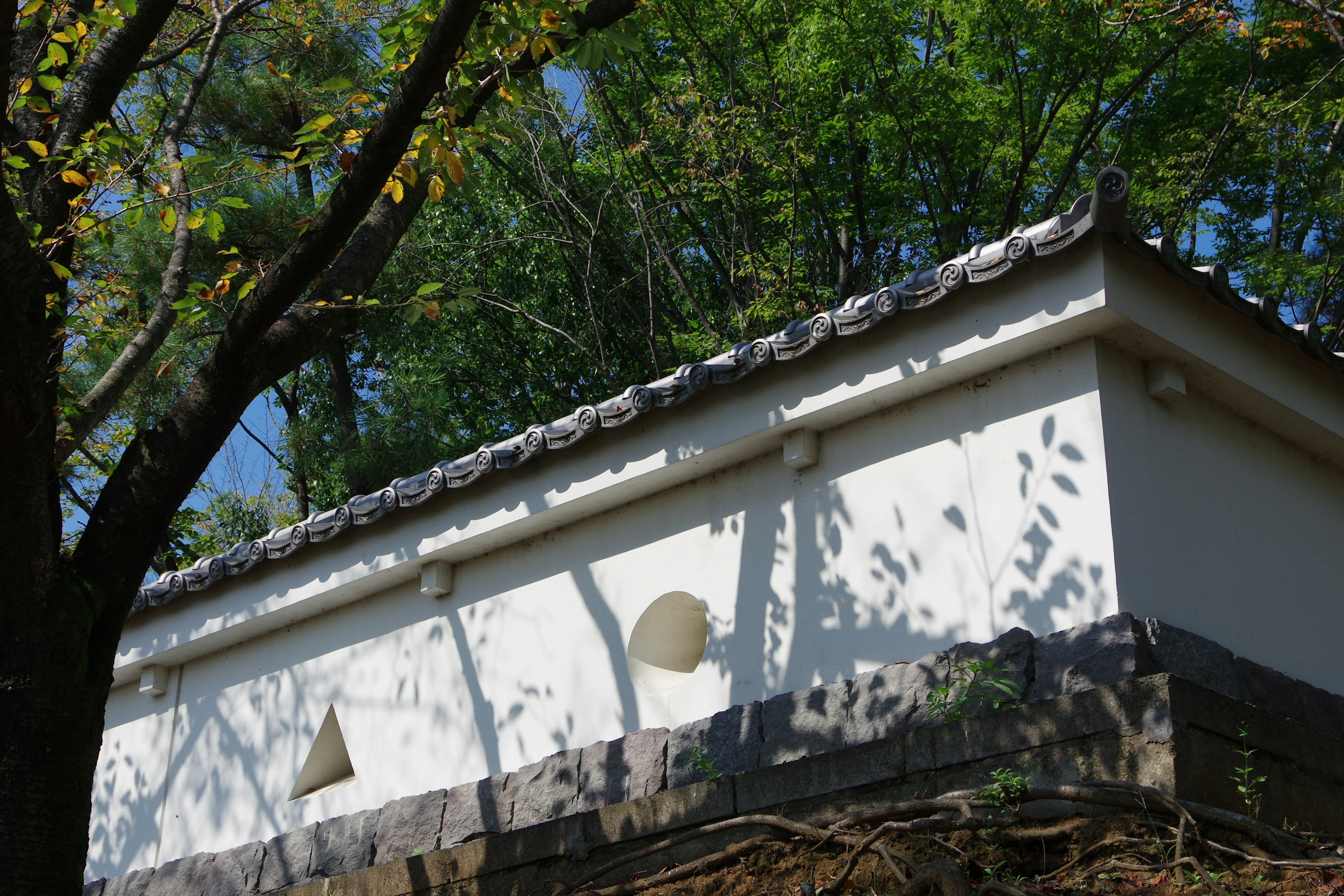 White wall of traditional Japanese architecture surrounded by green trees