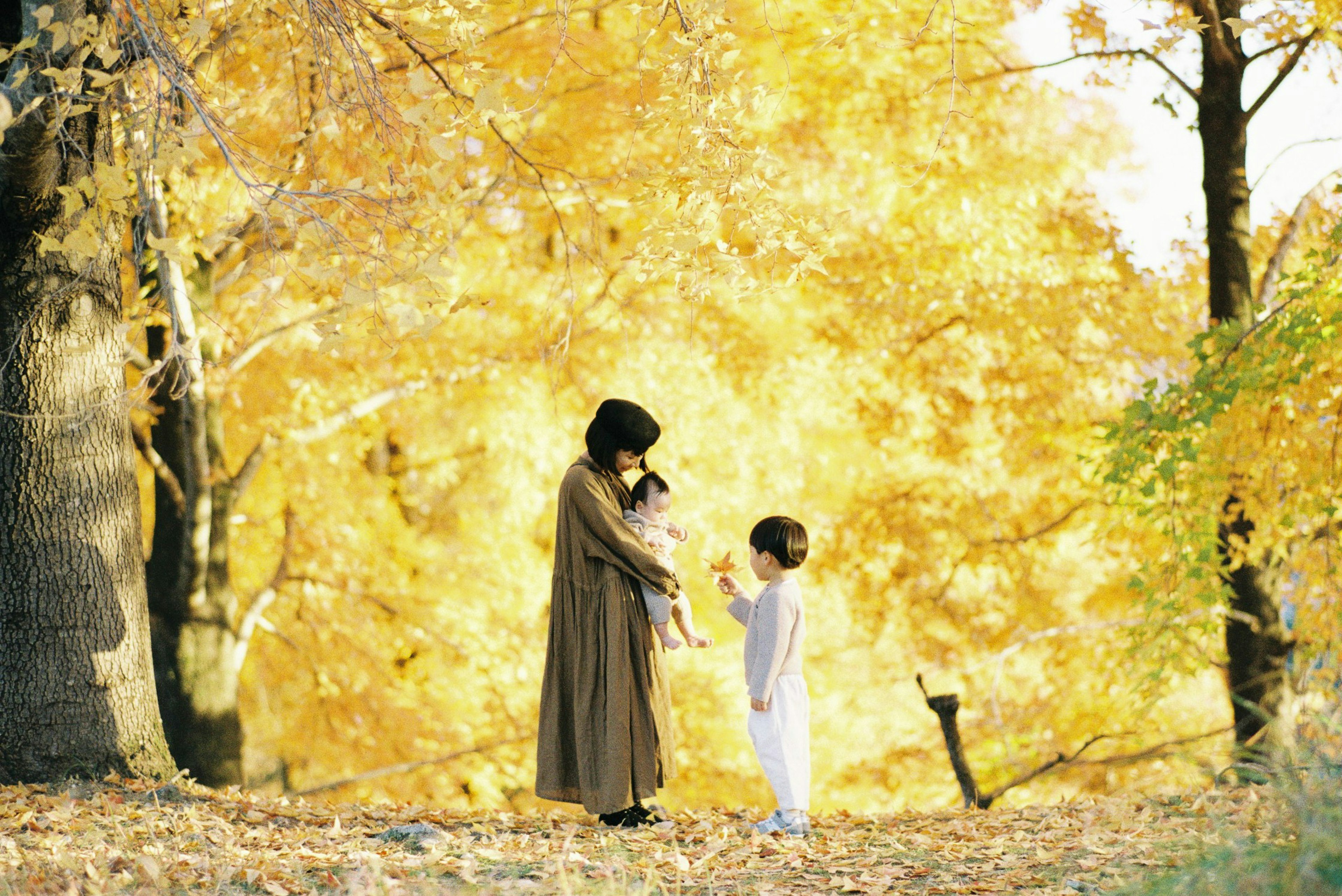 秋の木々の間で子供と遊ぶ母親のシルエット