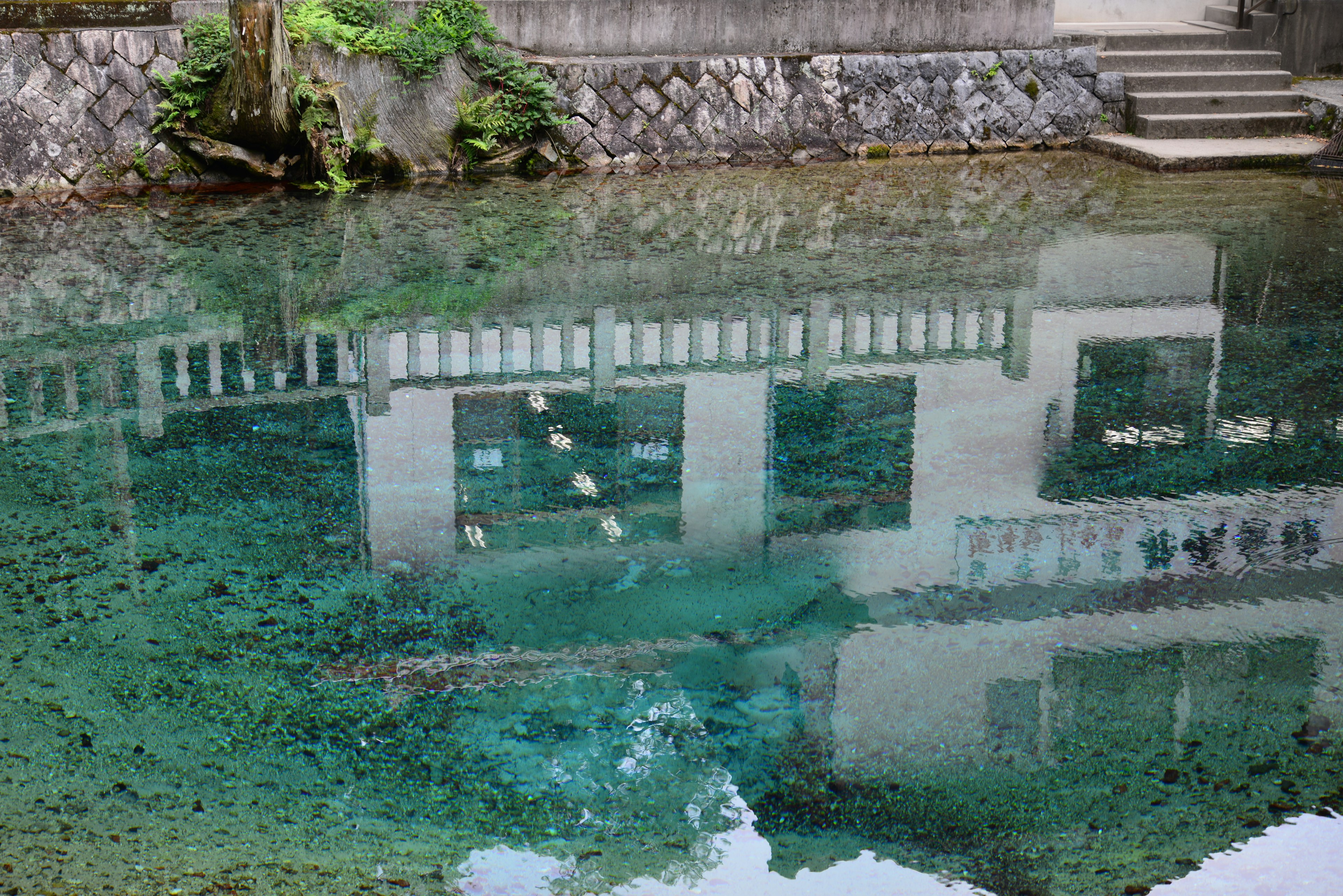 Reflexion eines Gebäudes und grüner Pflanzen auf der Wasseroberfläche