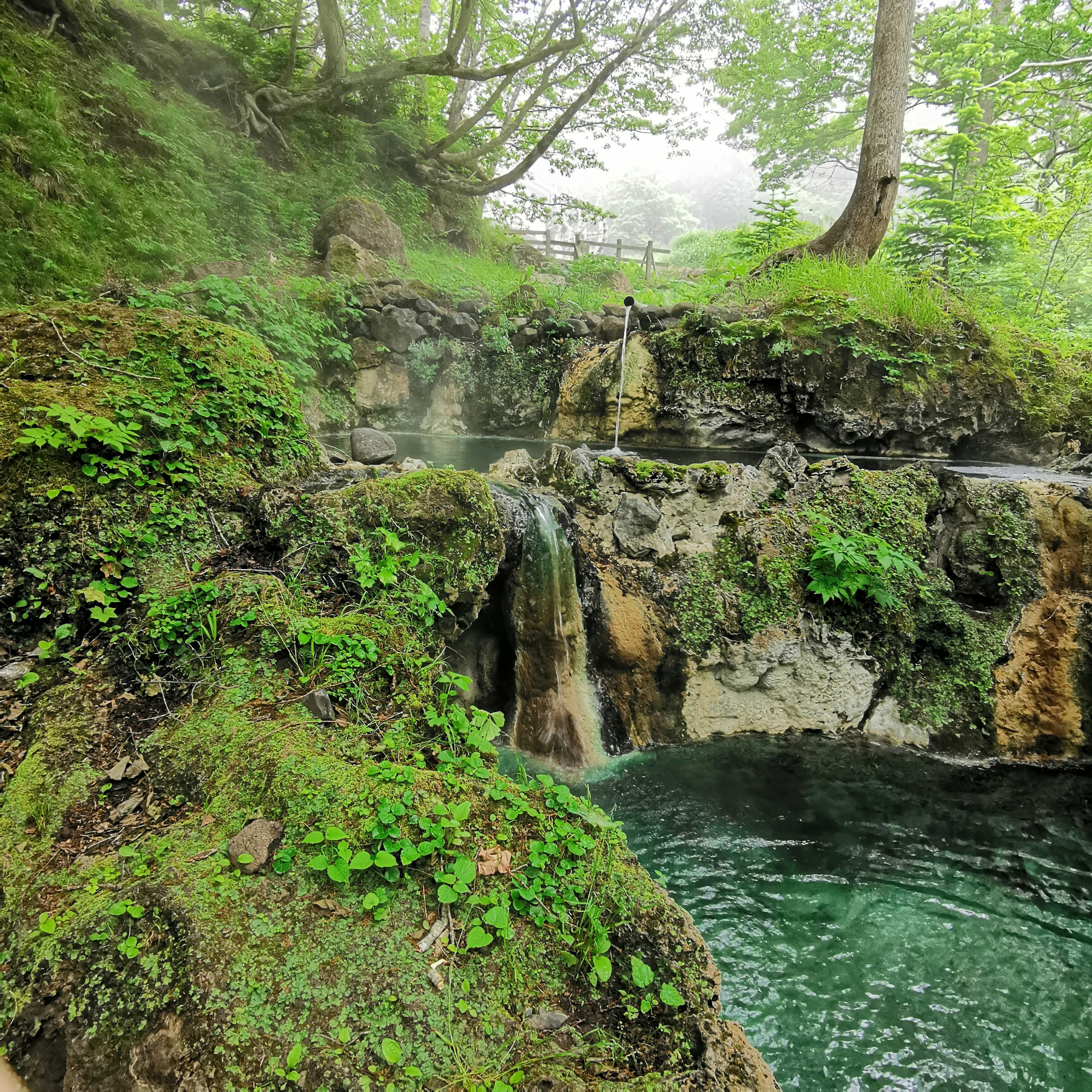 Scenic view of a small waterfall and hot spring surrounded by lush greenery