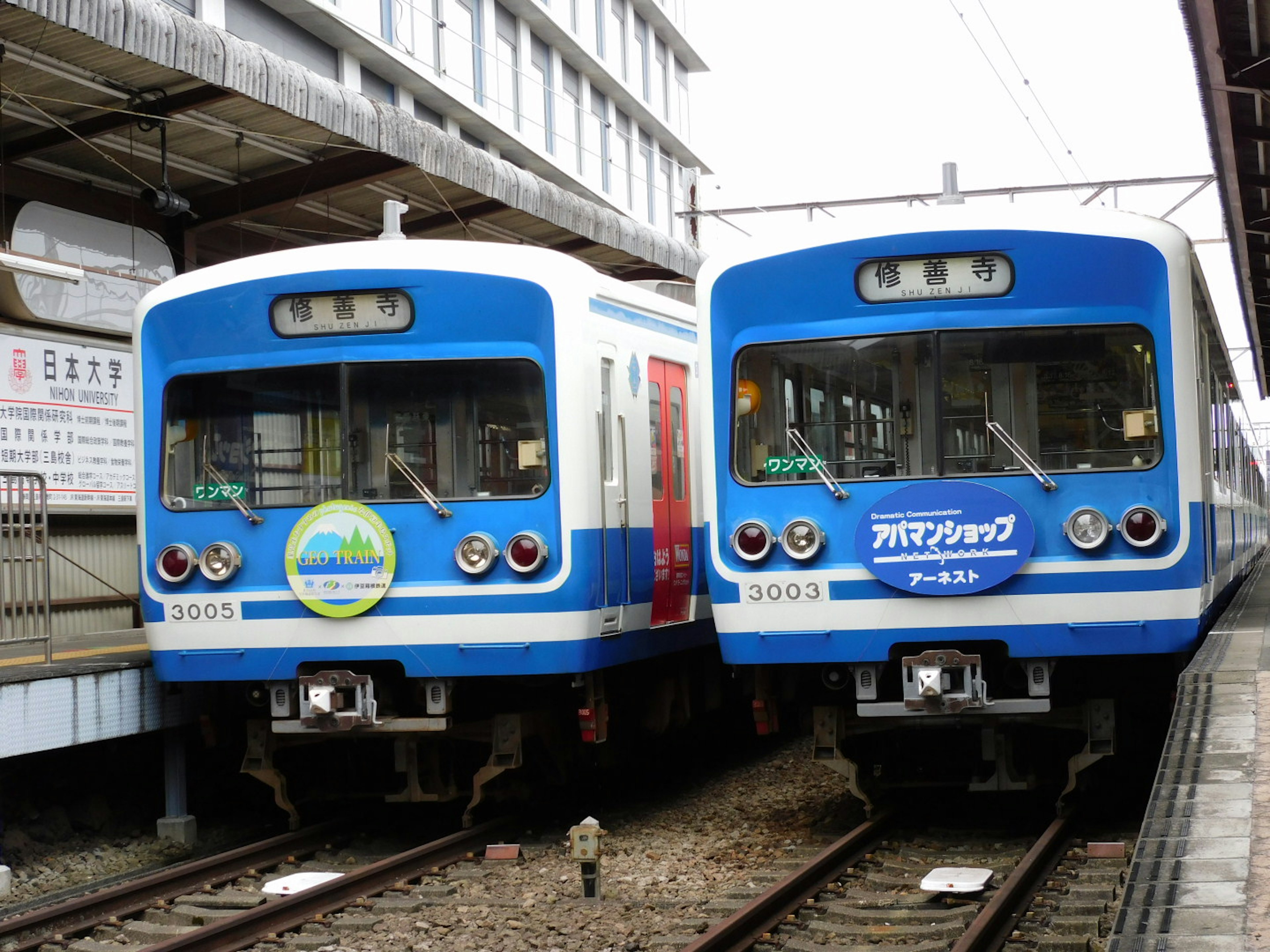 Two blue trains parked at a station