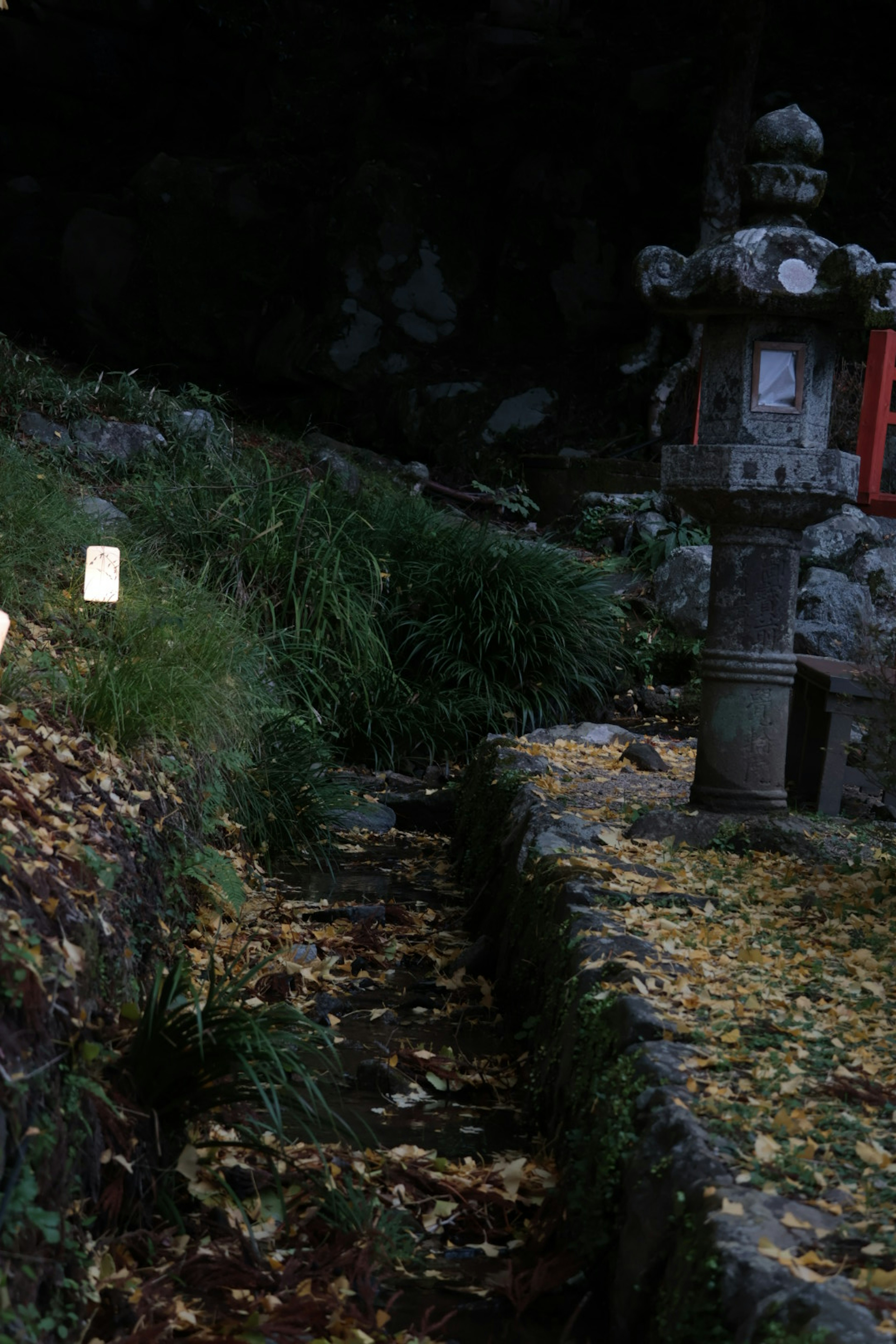 A serene landscape featuring a moss-covered stone lantern and a path covered with fallen leaves in a dark setting