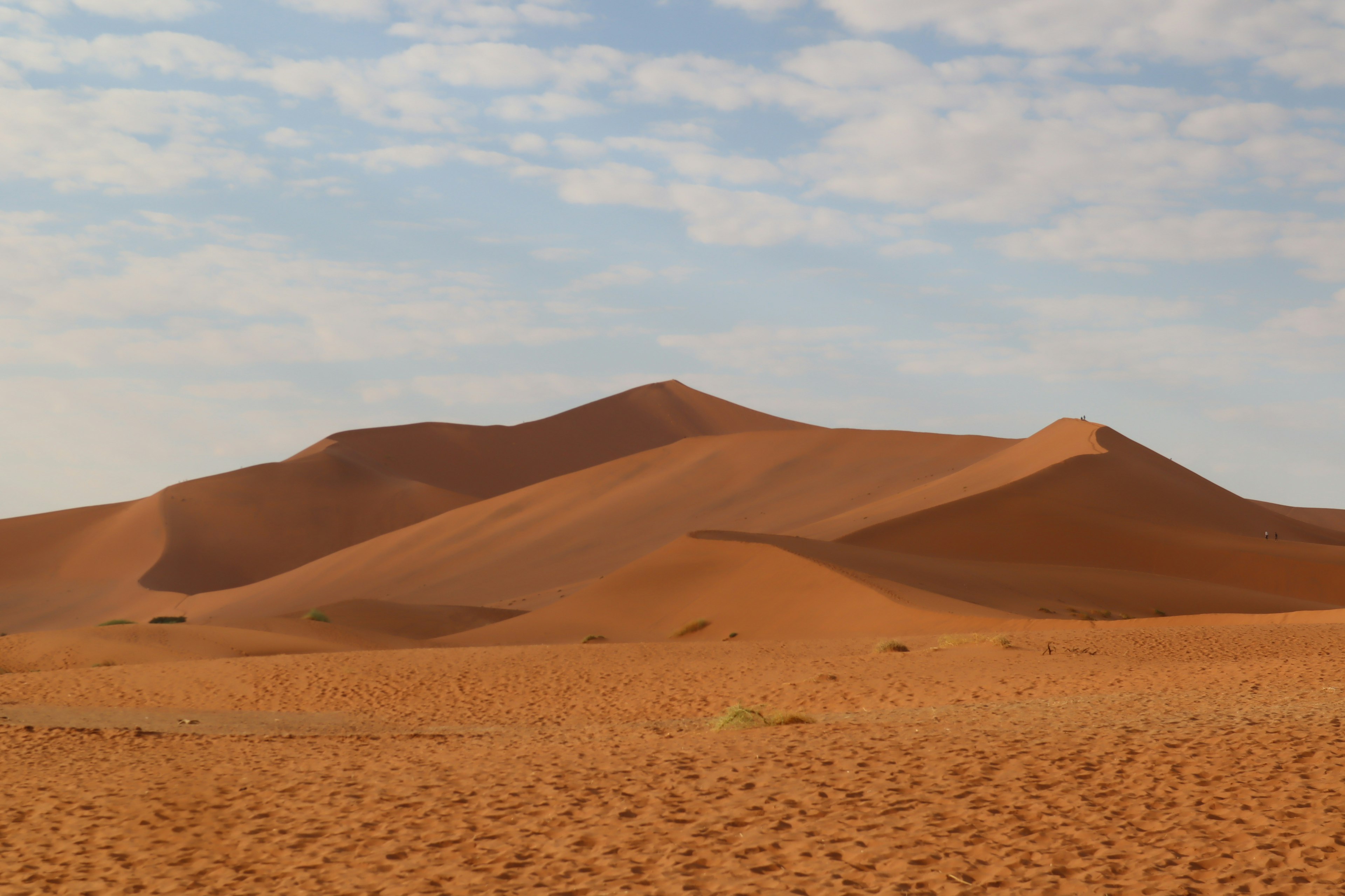 Schöne Wüstenlandschaft mit roten Sanddünen und blauem Himmel