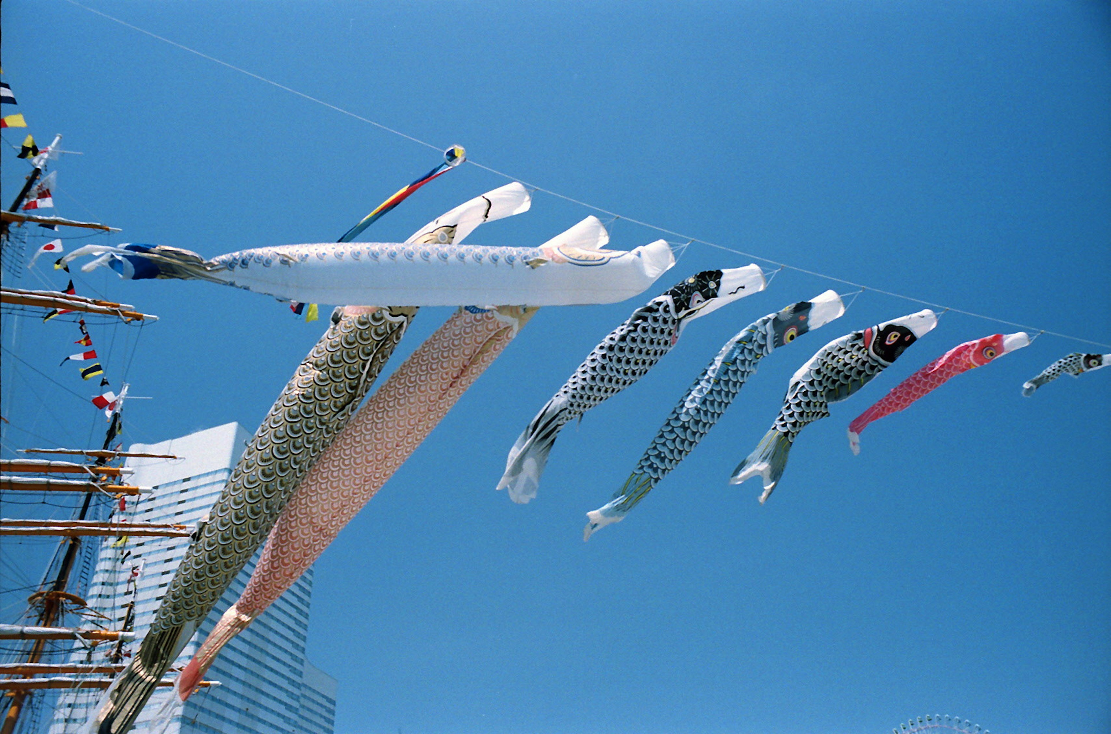 Colorful koi flags swimming under a blue sky