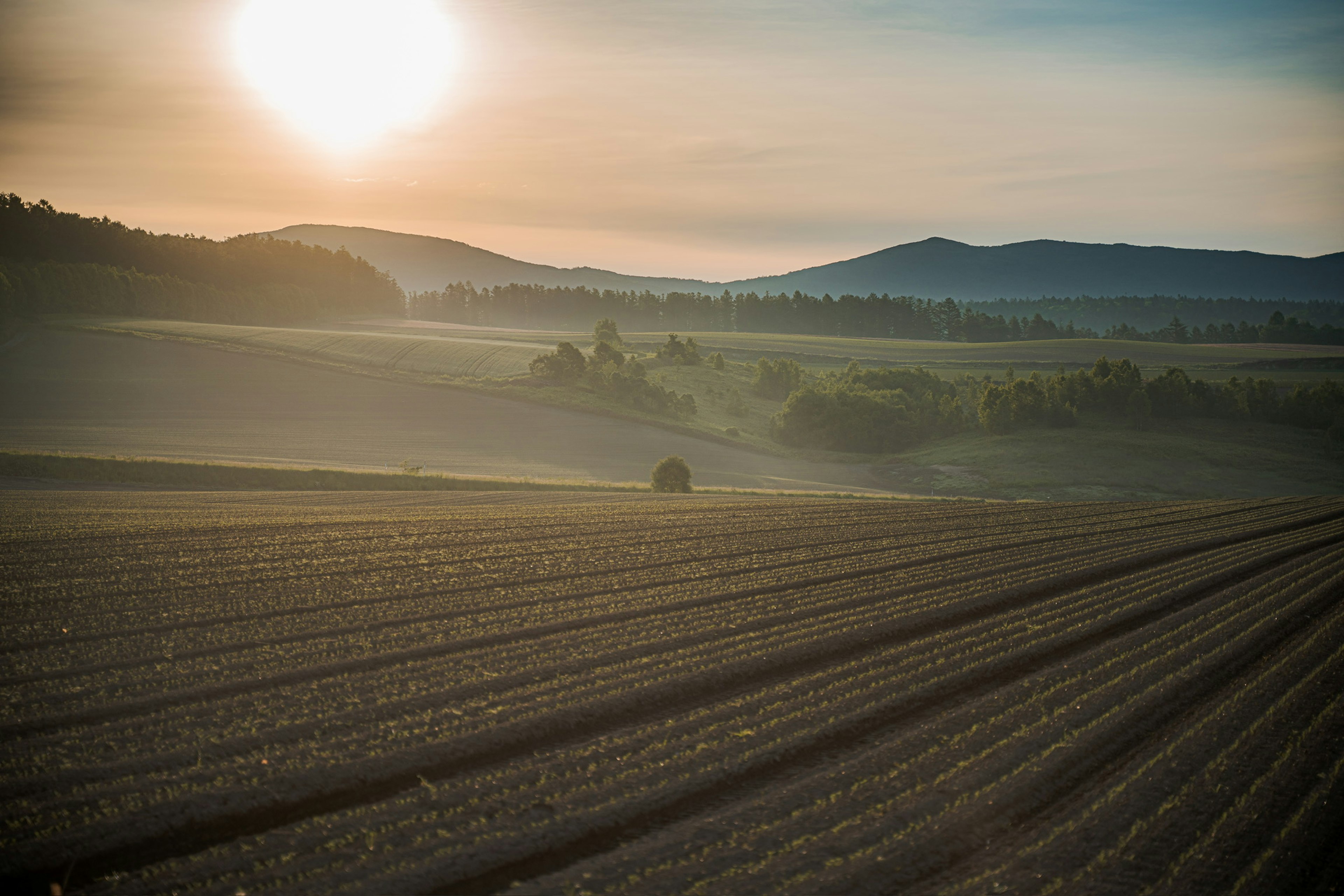 Vasta terra agricola con colline ondulate e alba sullo sfondo