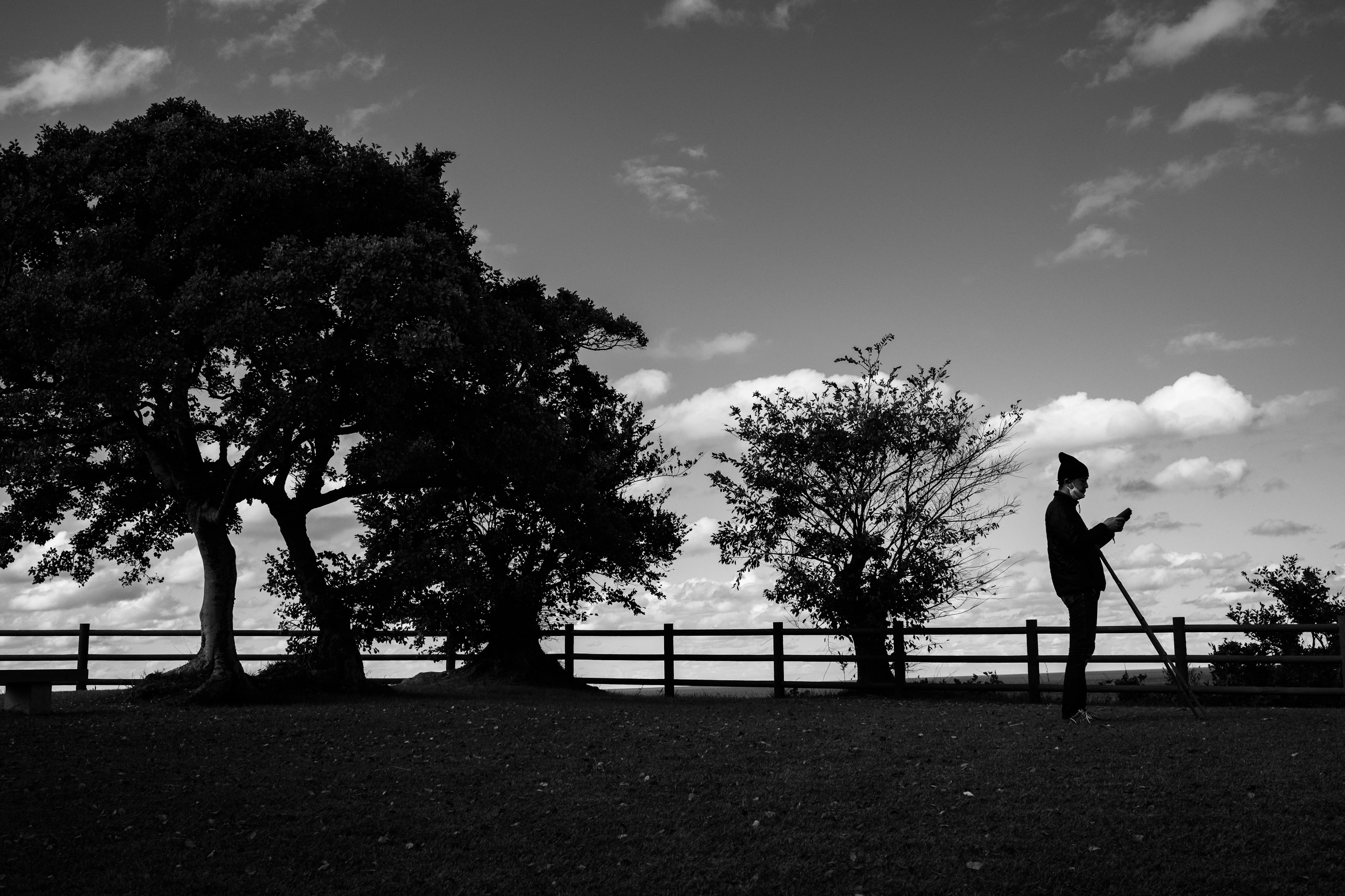 Silhouette of a person standing against a black and white landscape with large trees