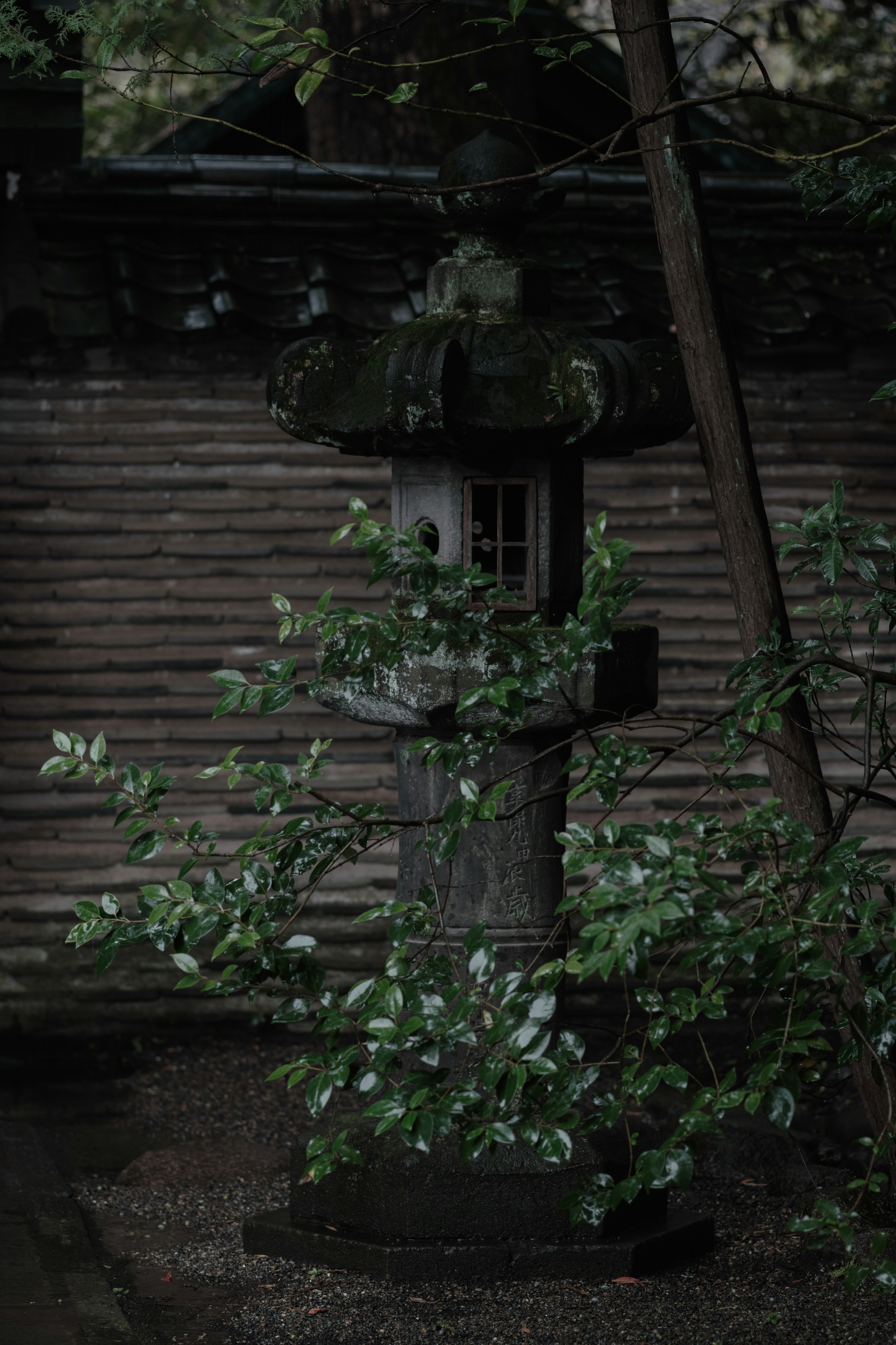 An old stone lantern surrounded by greenery in a serene setting