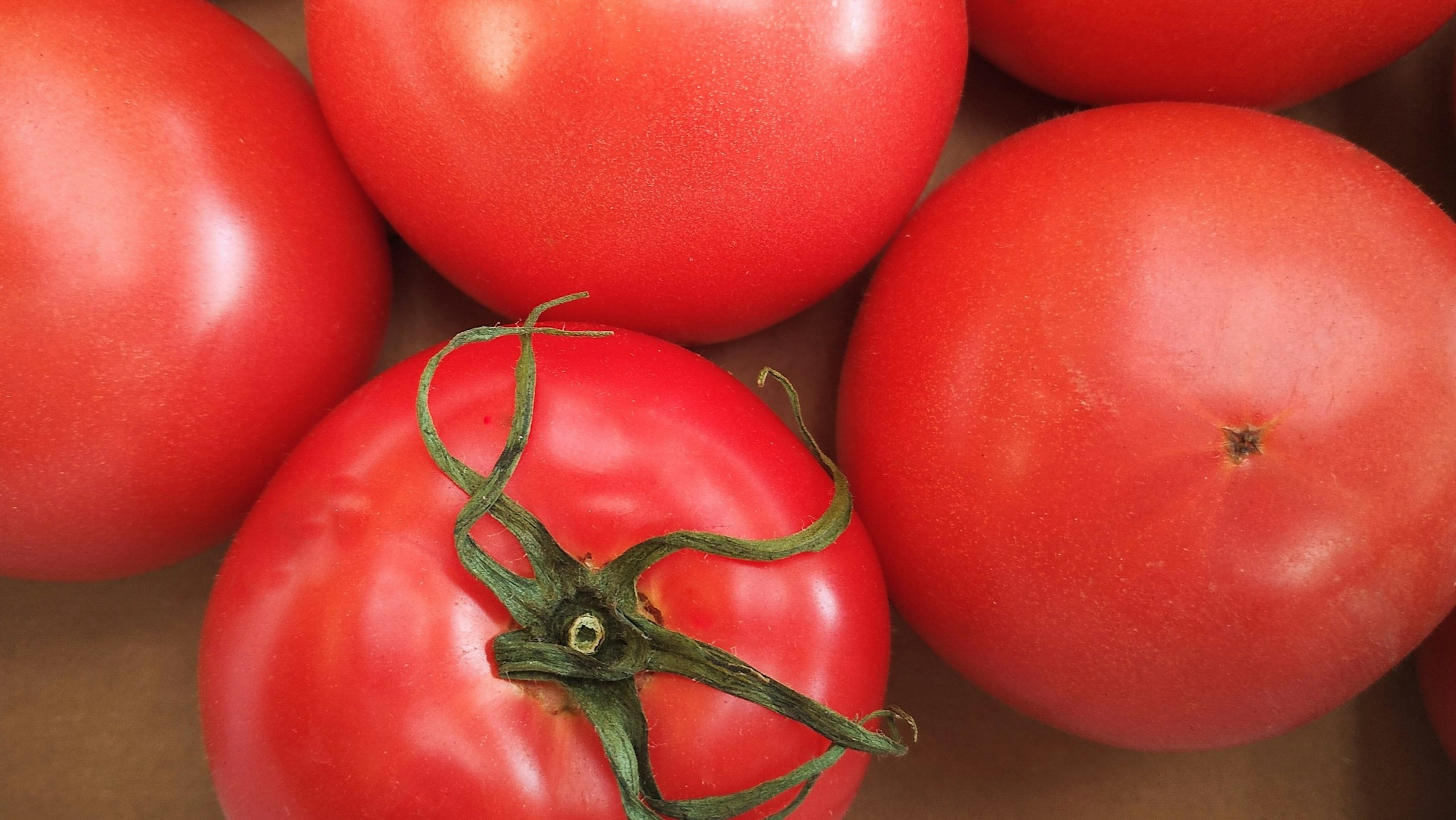 Vibrant red tomatoes arranged in a box