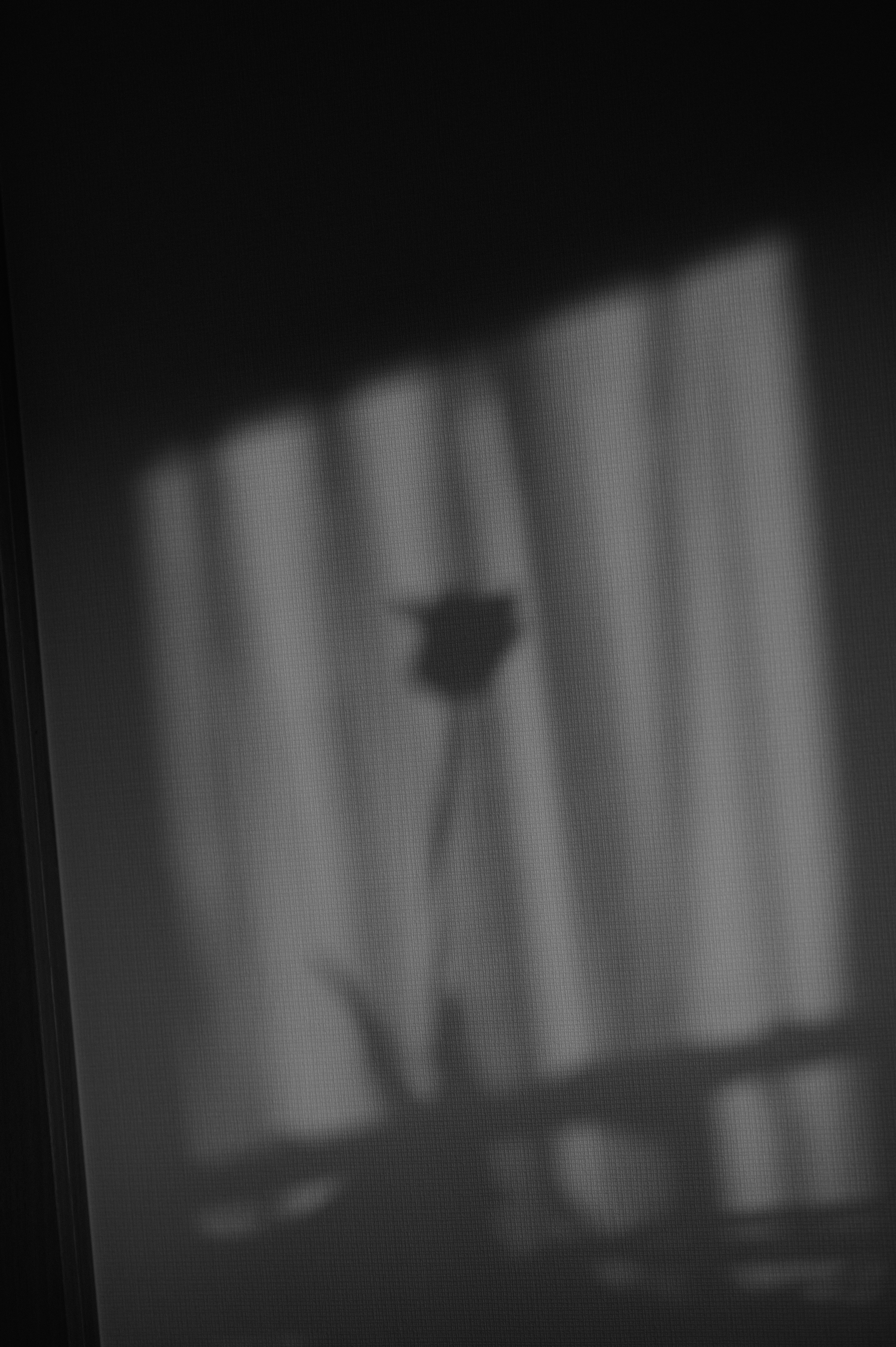 Shadow of a flower against a curtain with soft light