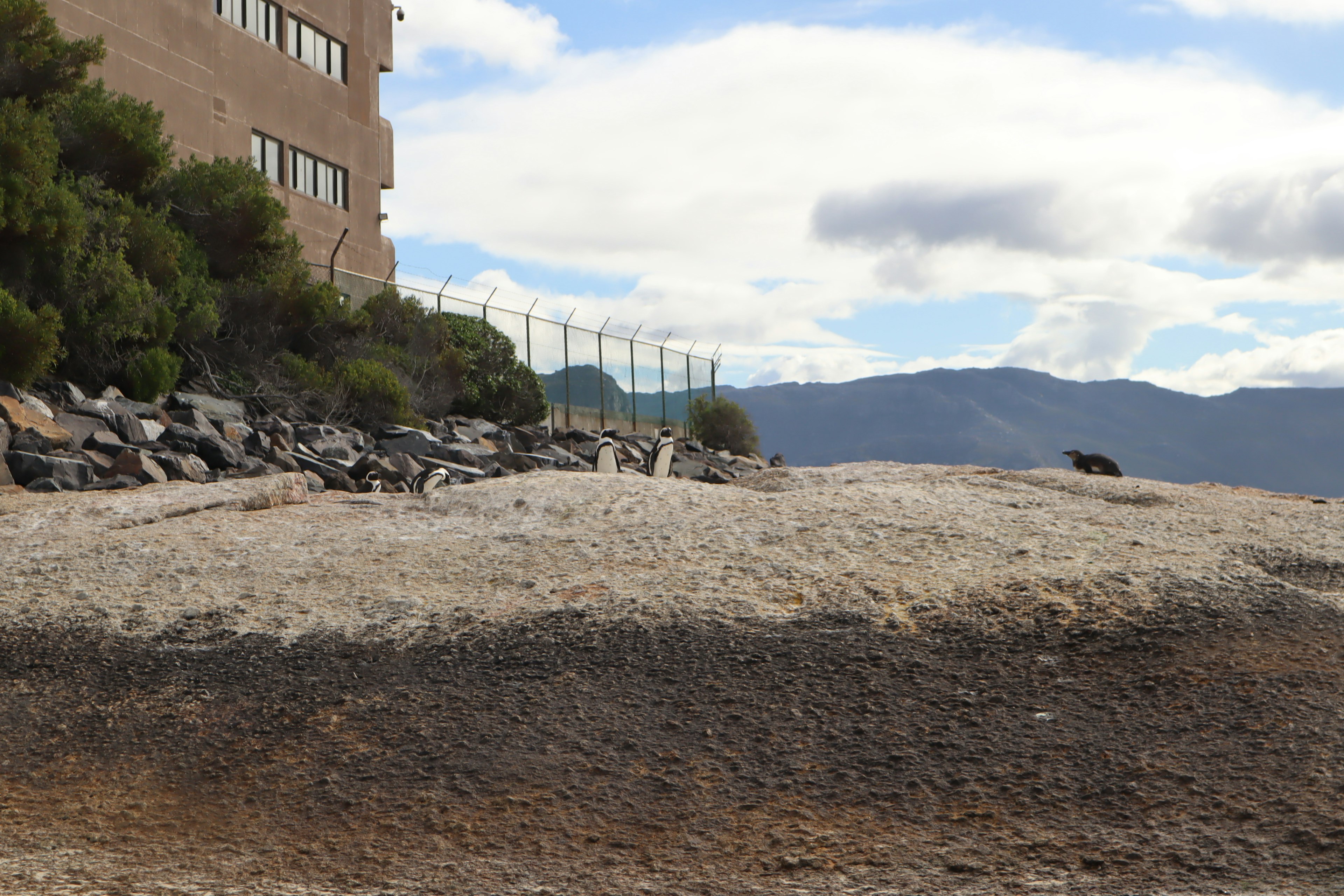 Paisaje costero con rocas y un edificio al fondo