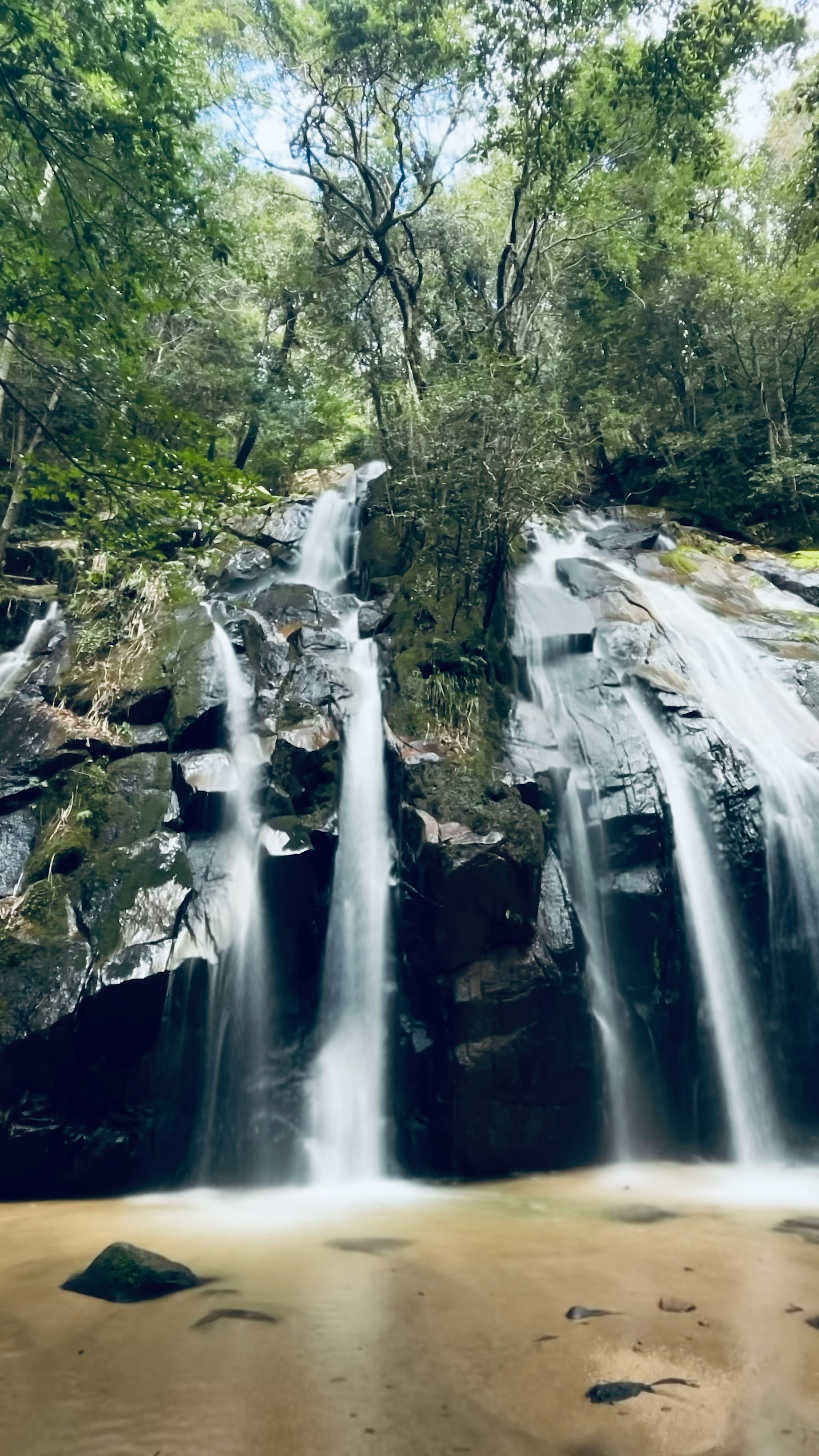 Pemandangan air terjun yang dikelilingi oleh pepohonan subur