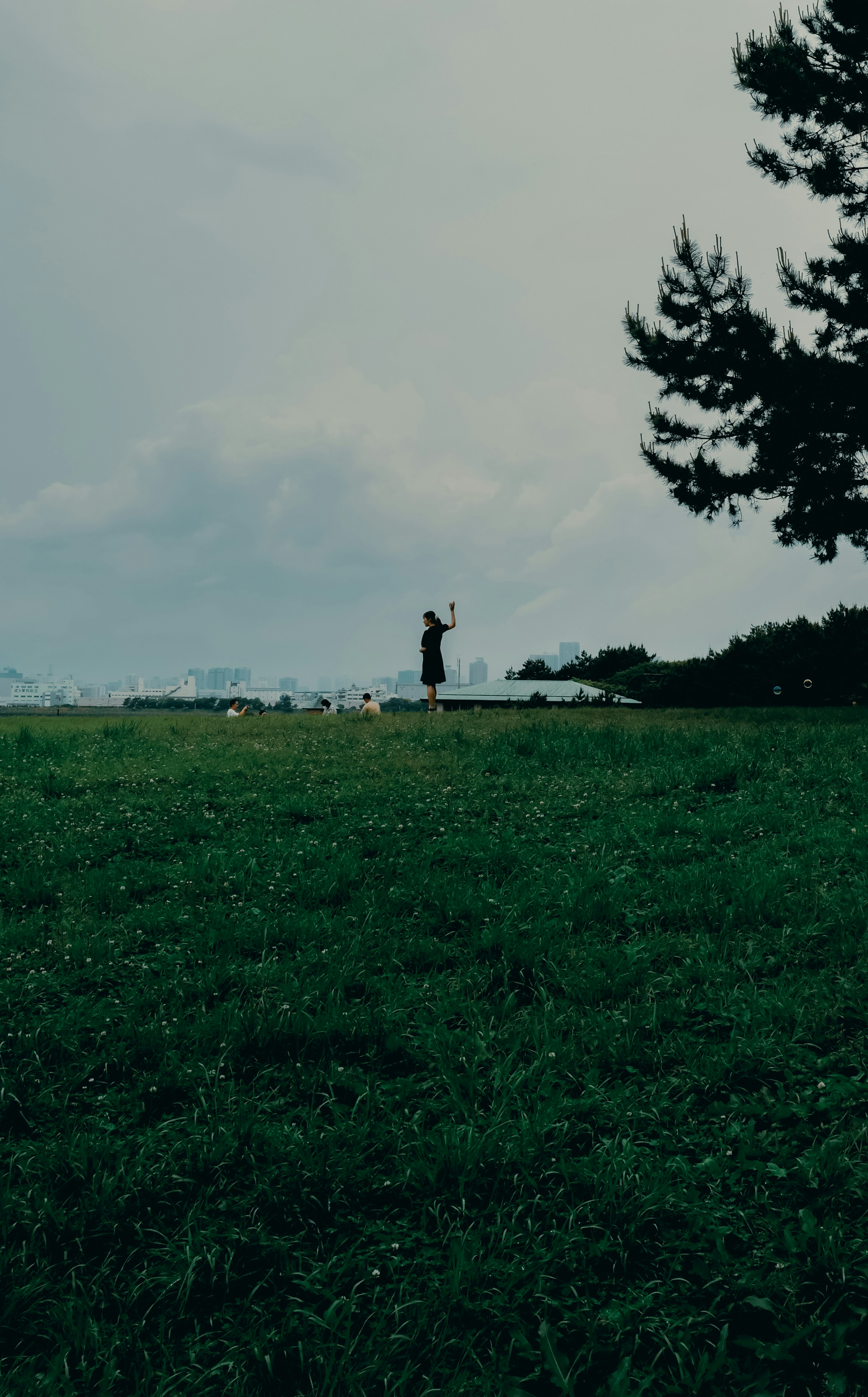 Silhouette einer Person auf einem grünen Feld mit Bäumen im Hintergrund