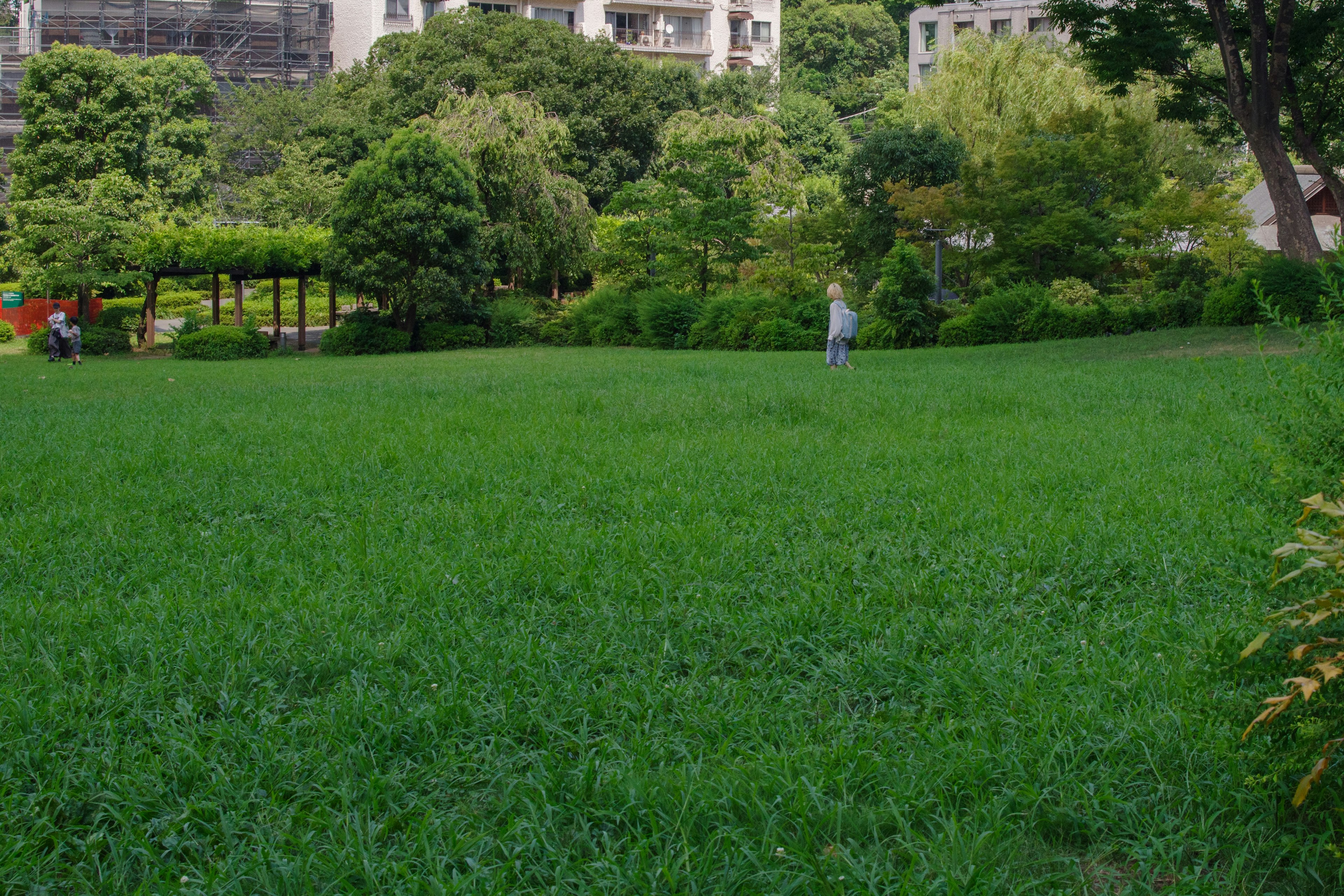 푸른 잔디가 있는 공원 풍경과 산책하는 사람들