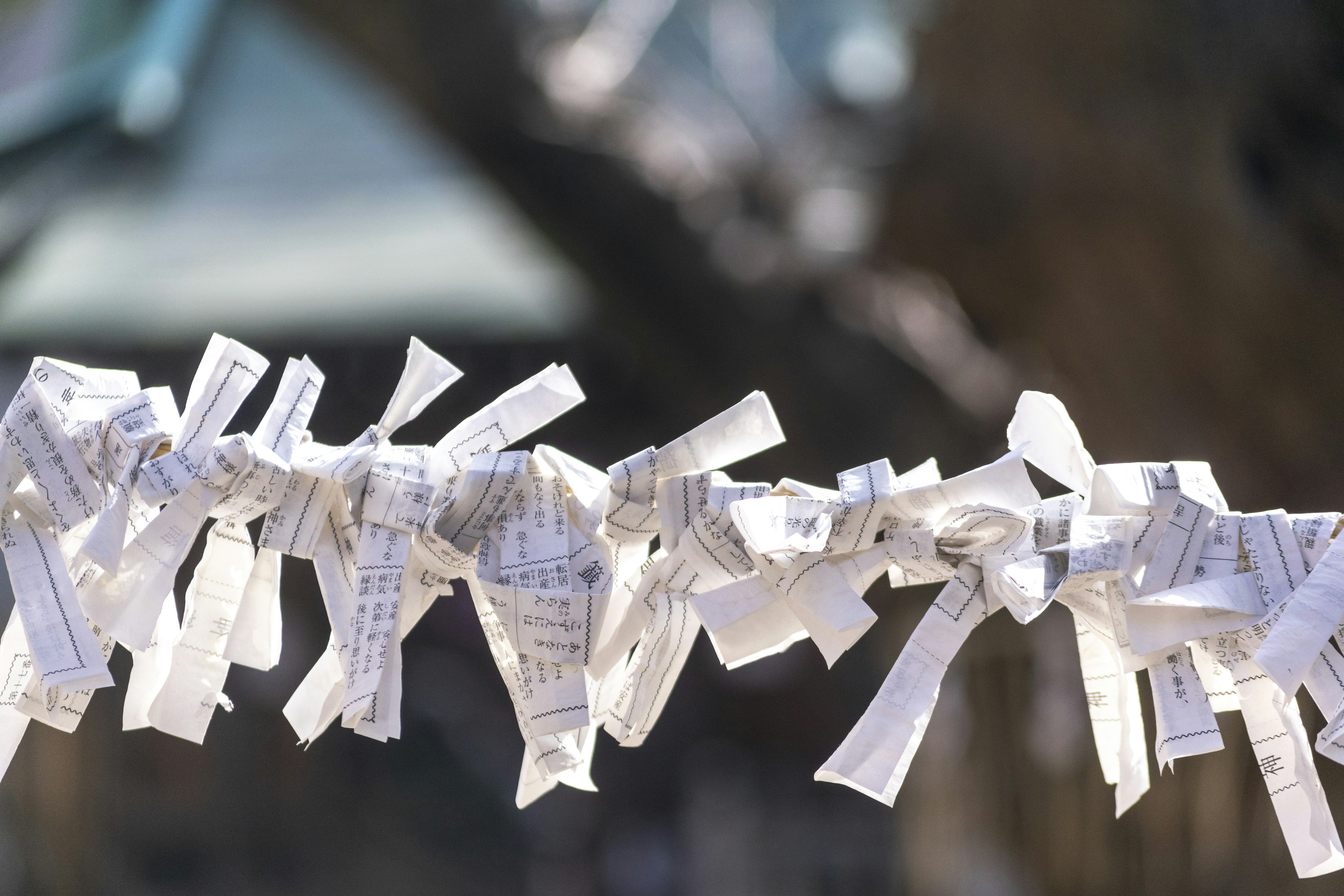 Close-up of decorative white paper strips tied together