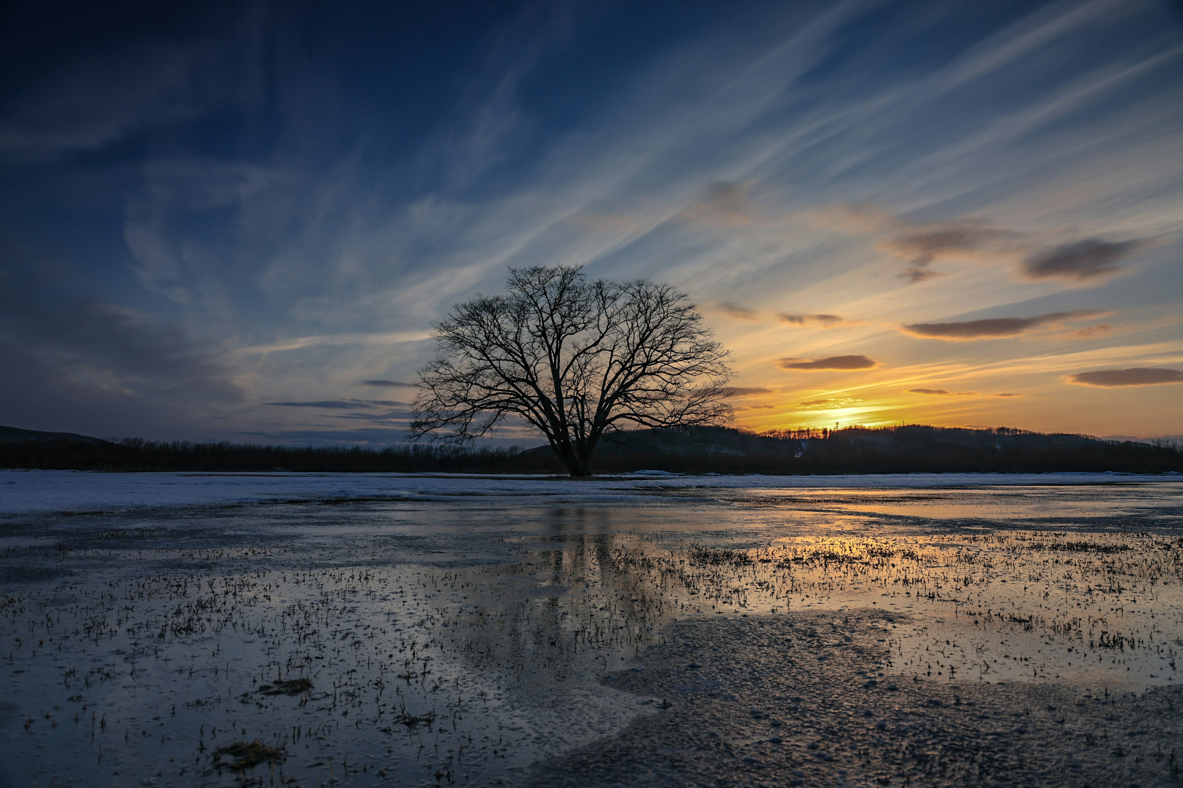 Ein einsamer Baum vor einem Sonnenuntergang mit Reflexionen im Wasser