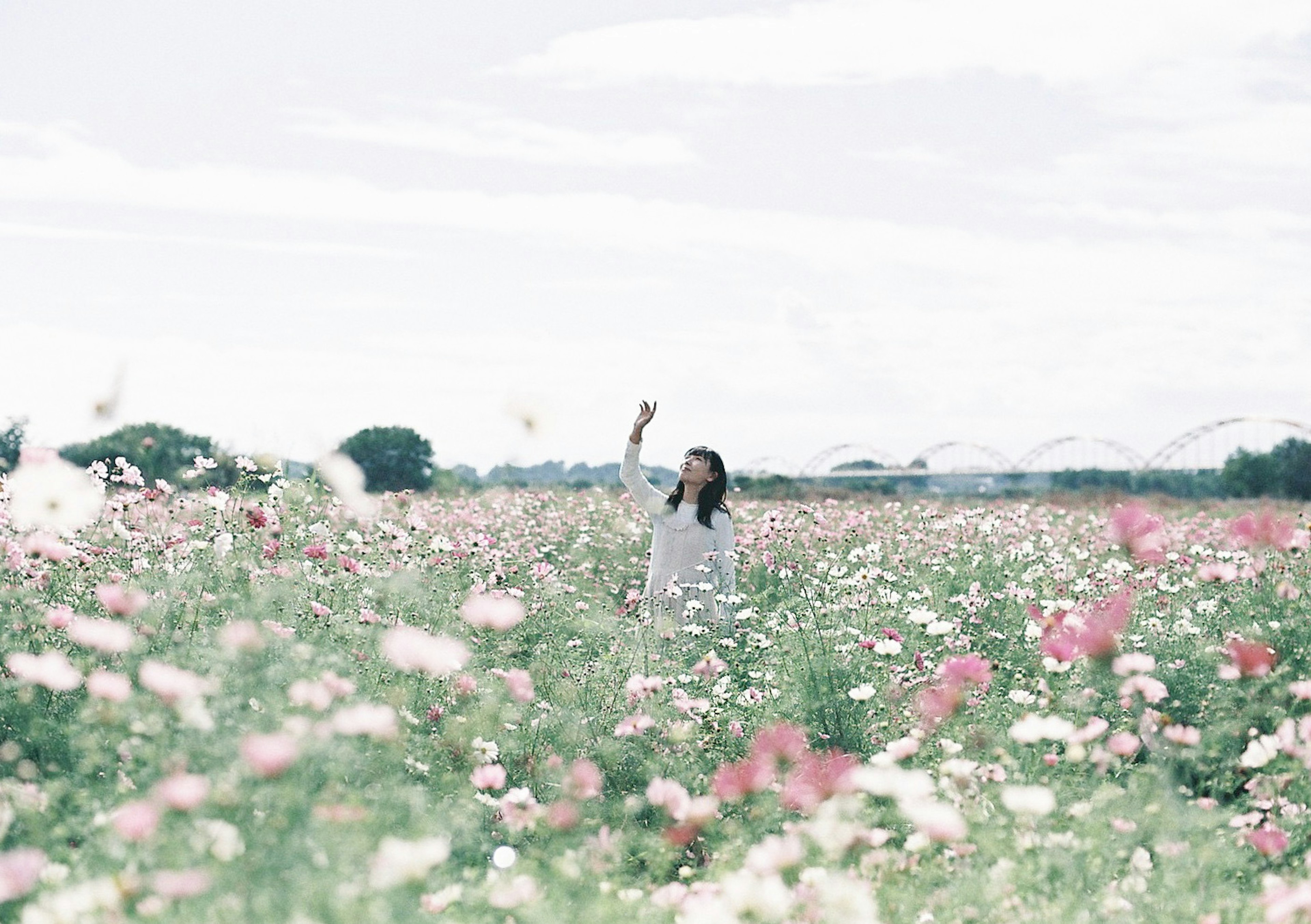 広がる花畑の中で手を挙げる女性の姿