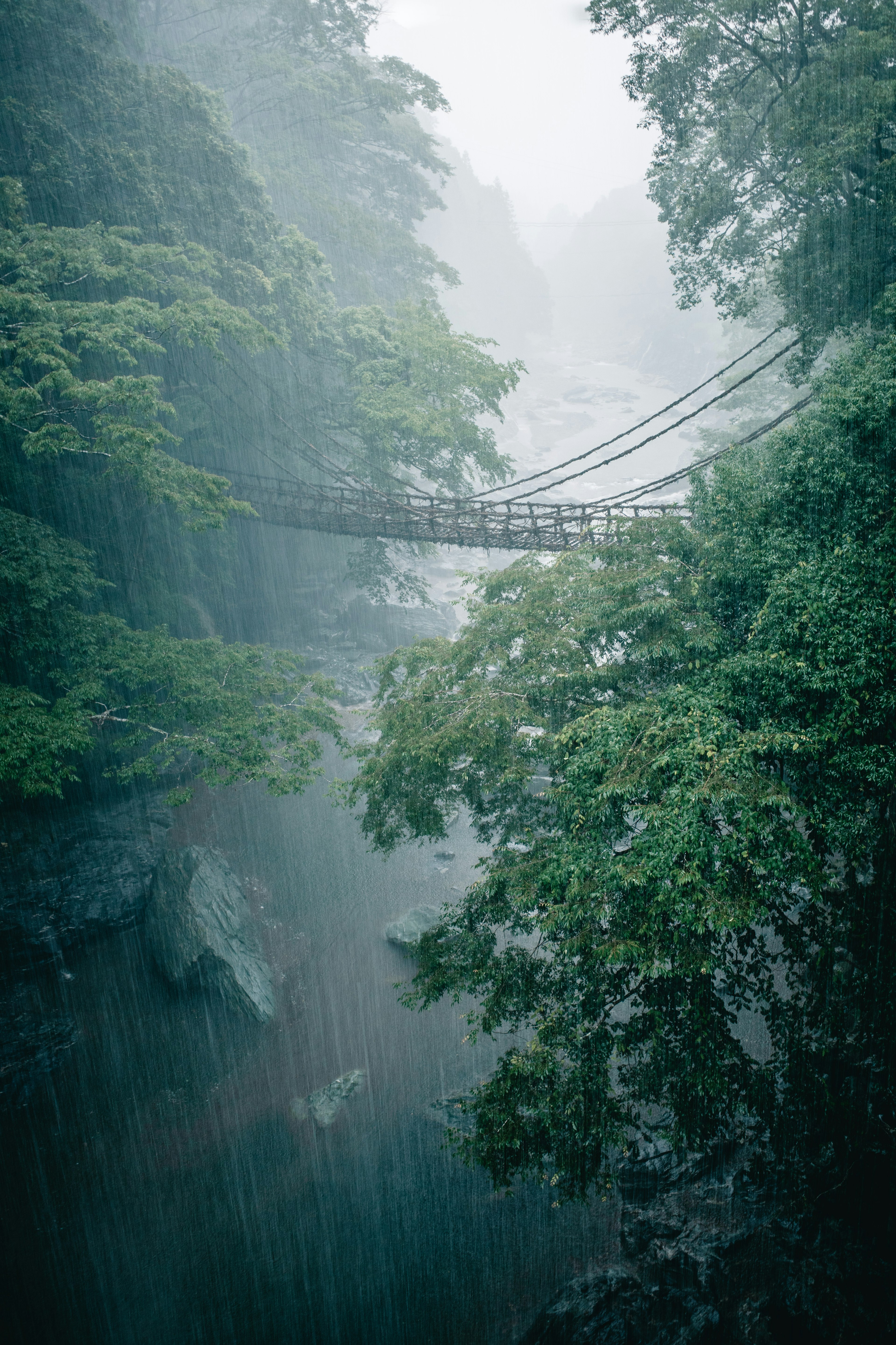 霧に包まれた森の中にある吊り橋と滝が見える風景