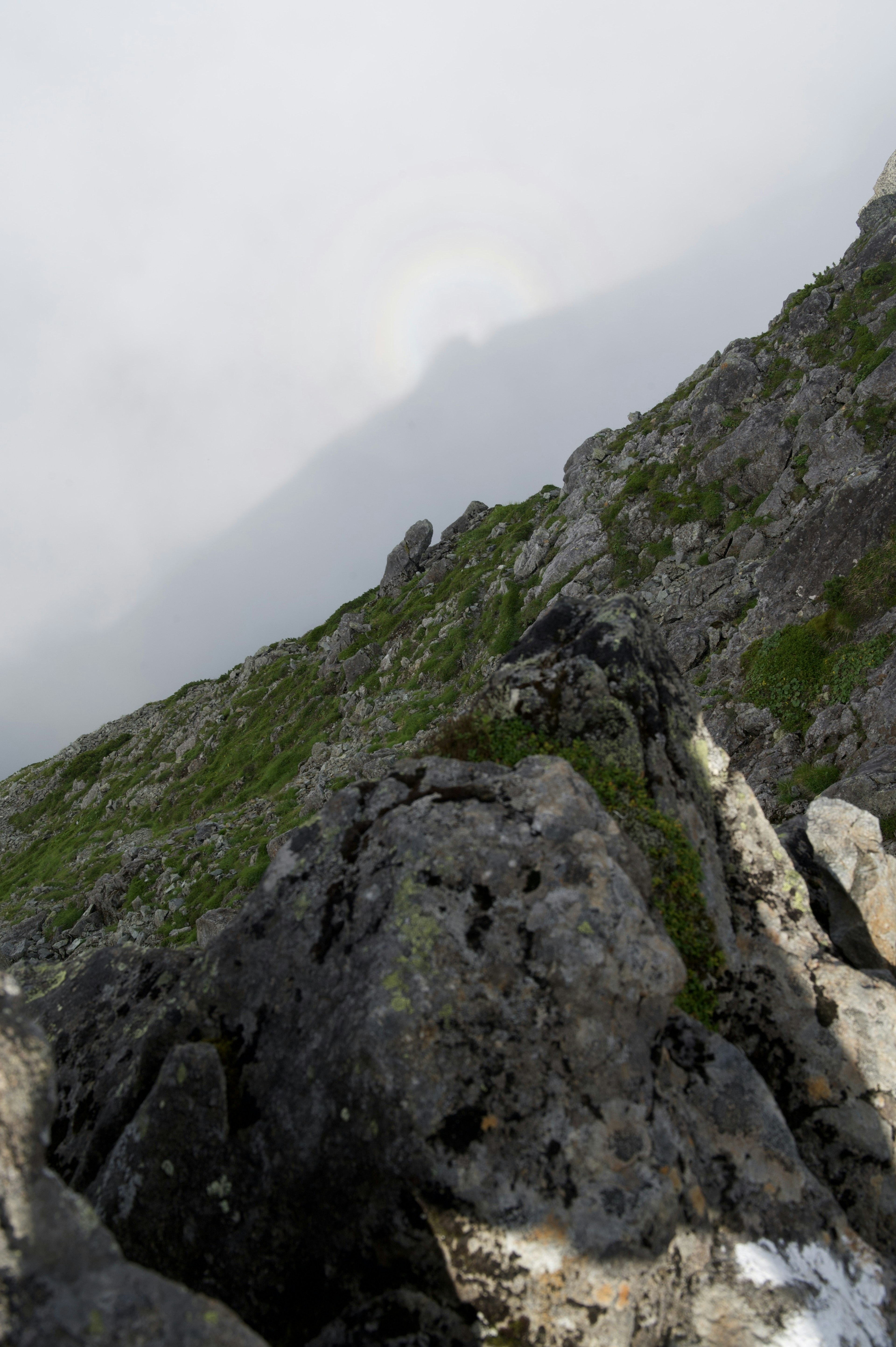 Pendiente montañosa rocosa cubierta de niebla con parches de hierba verde