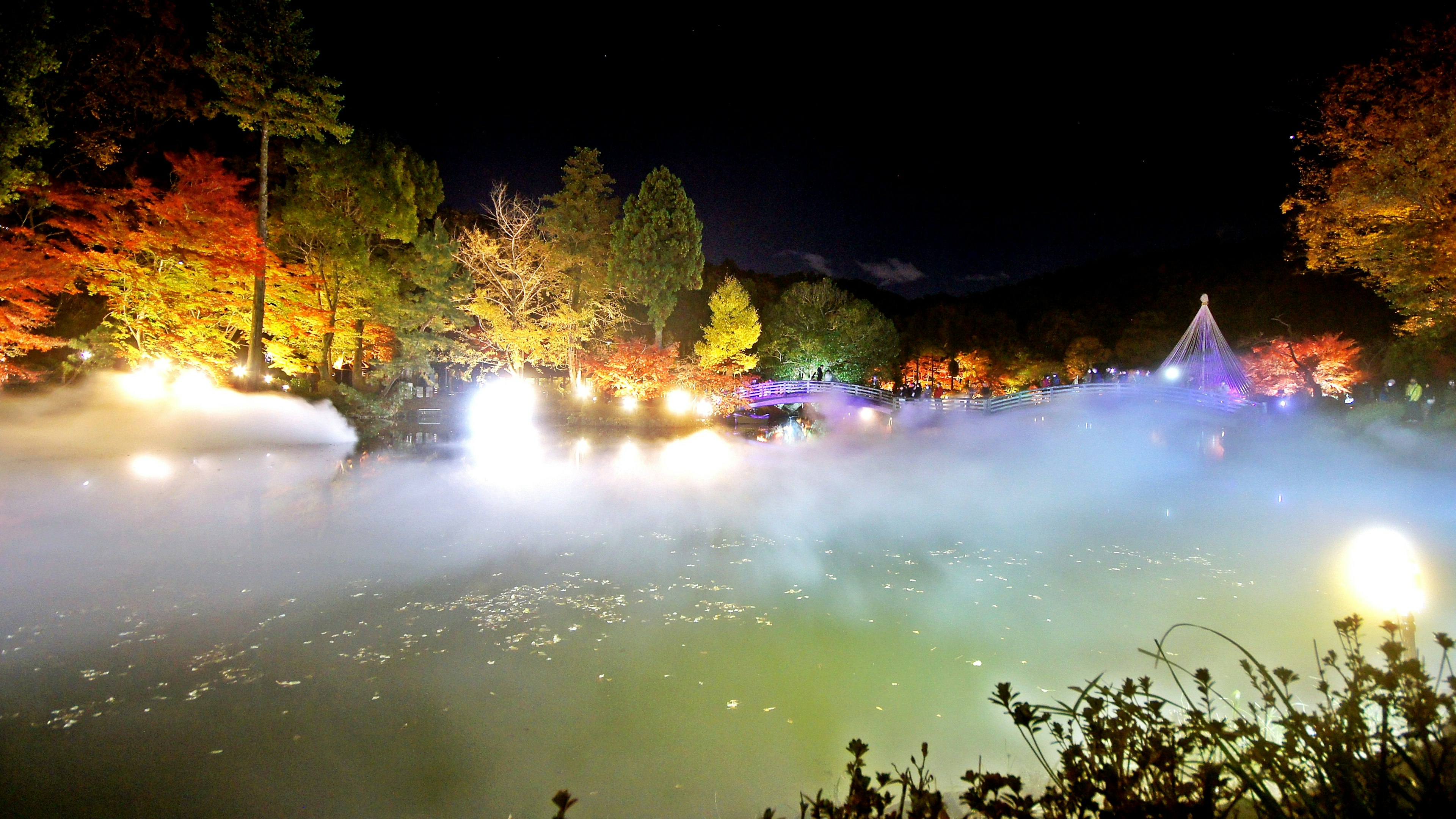 Pemandangan malam yang indah dengan pohon berwarna dan kabut di sekitar kolam