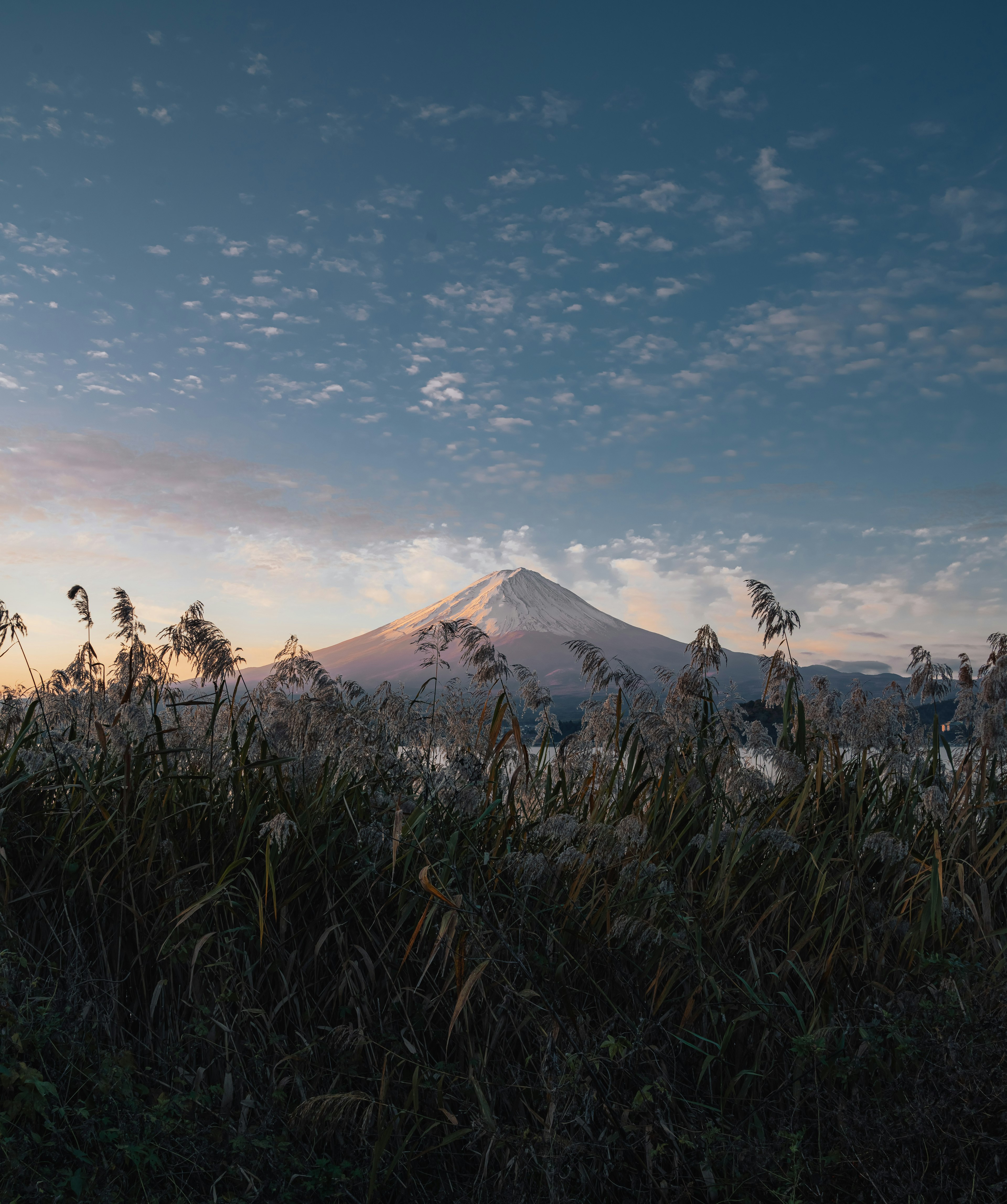 Mont Fuji sous un ciel bleu avec un premier plan herbeux