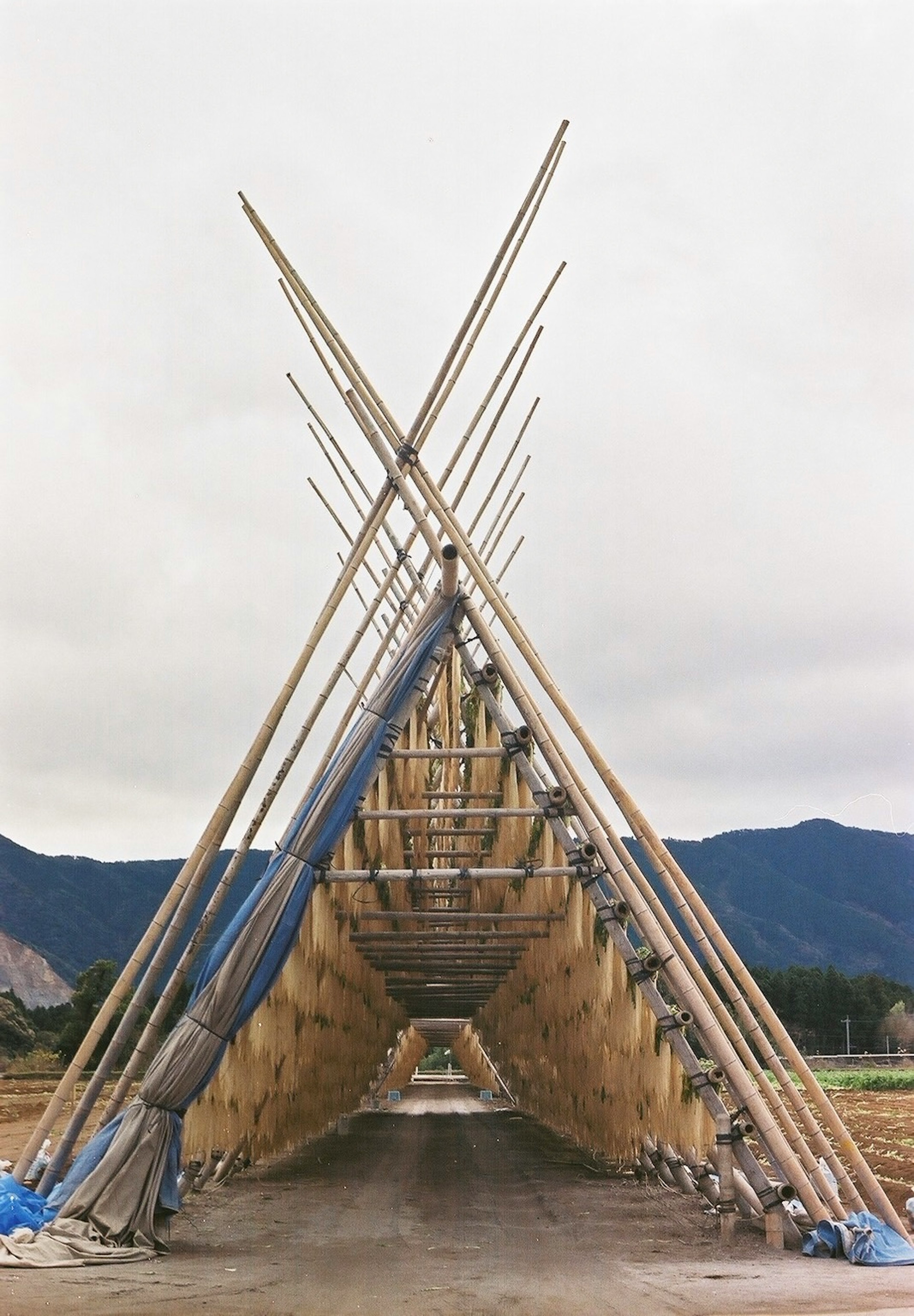 Una estructura de bambú en forma triangular con lonas azules