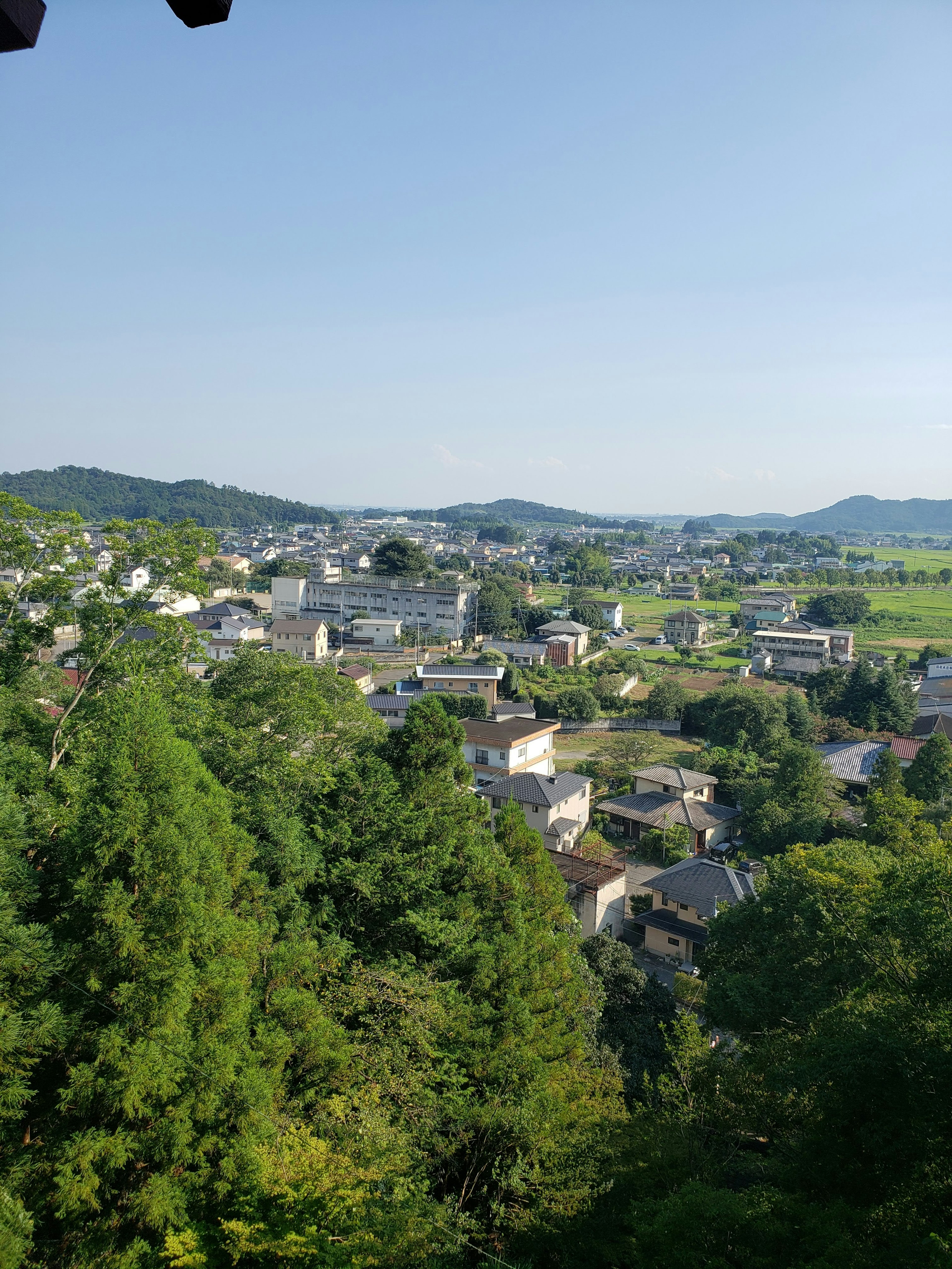 Panoramablick auf grüne Hügel und Wohngebiet