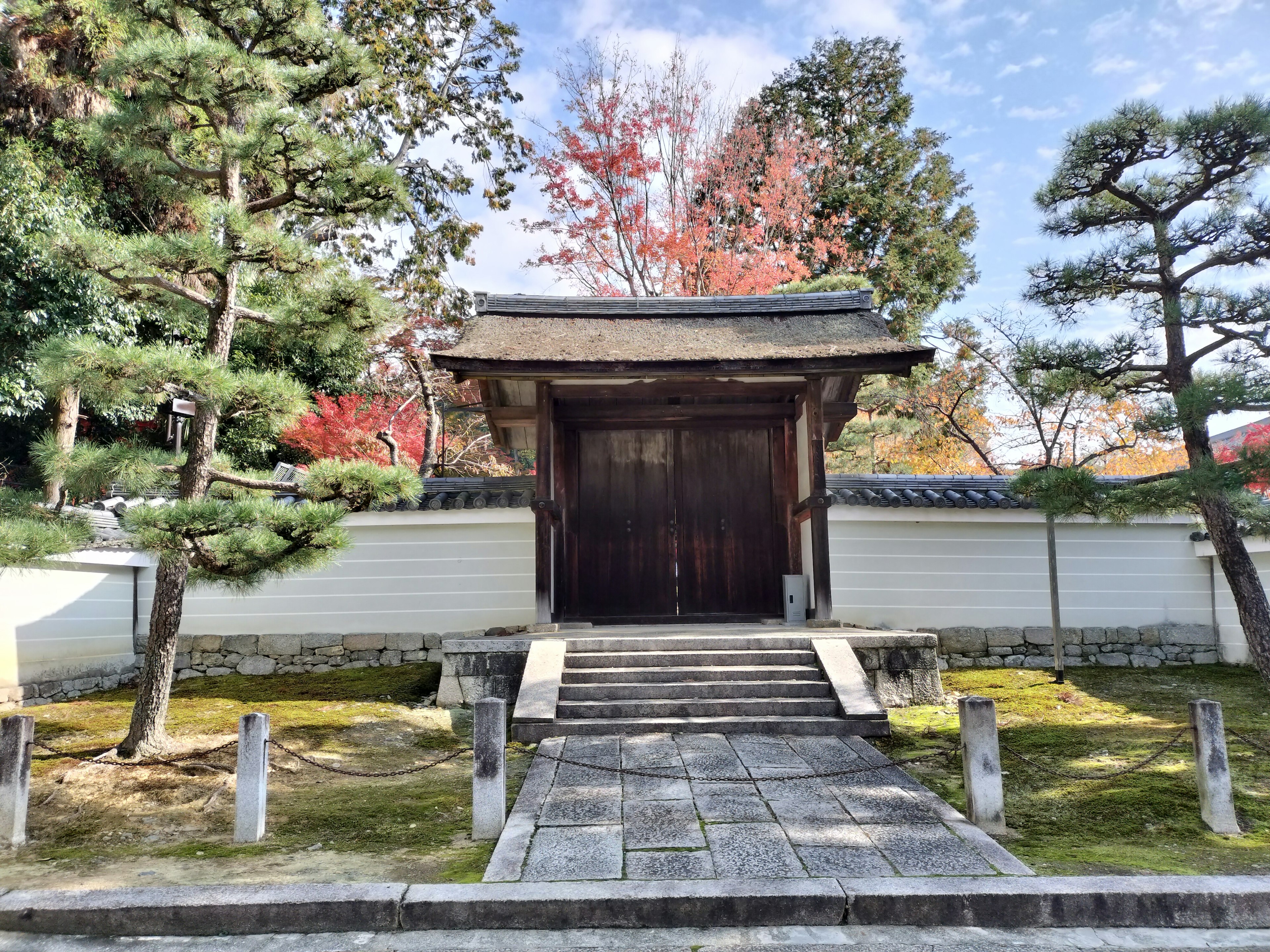 Traditional Japanese architecture featuring a wooden gate and surrounding pine trees