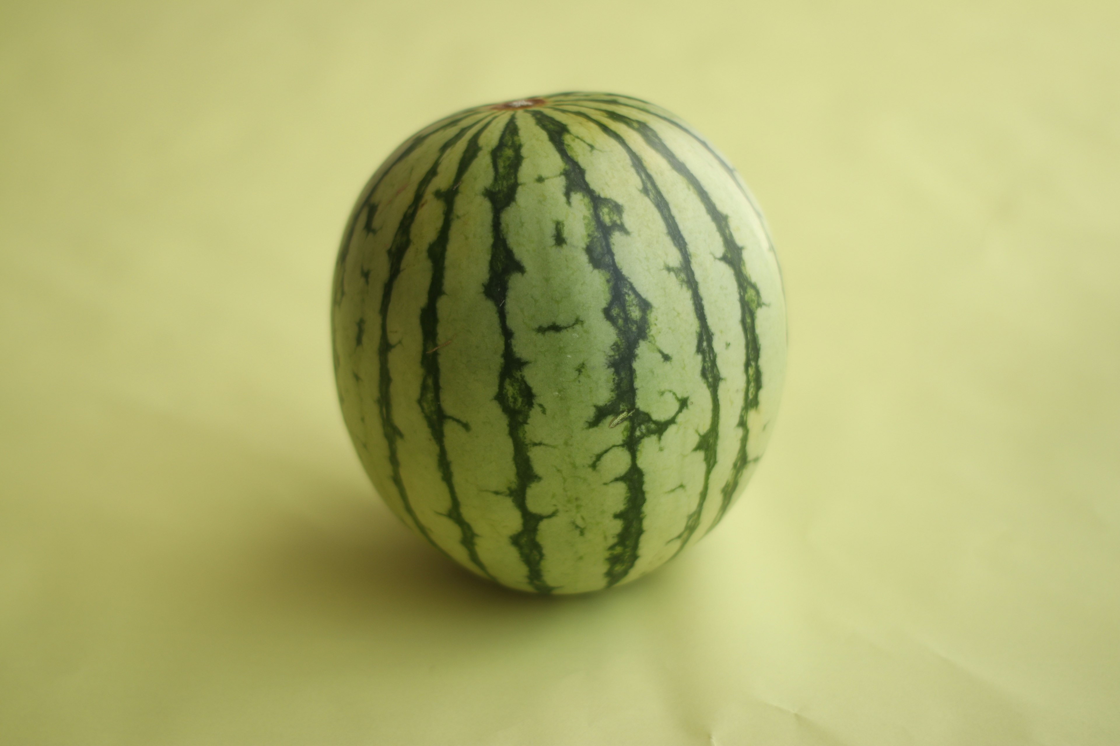 Image of a watermelon on a yellow background featuring green and black stripes